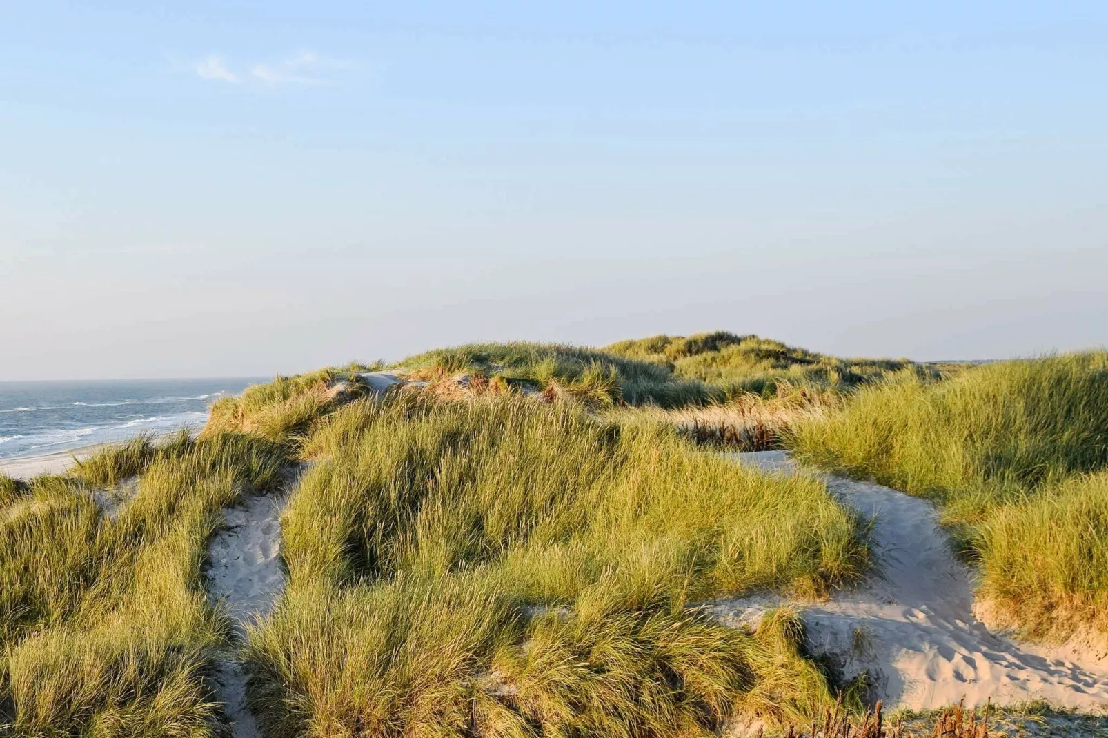 6 persoons vakantie huis in Hvide Sande-By Traum-Uitzicht