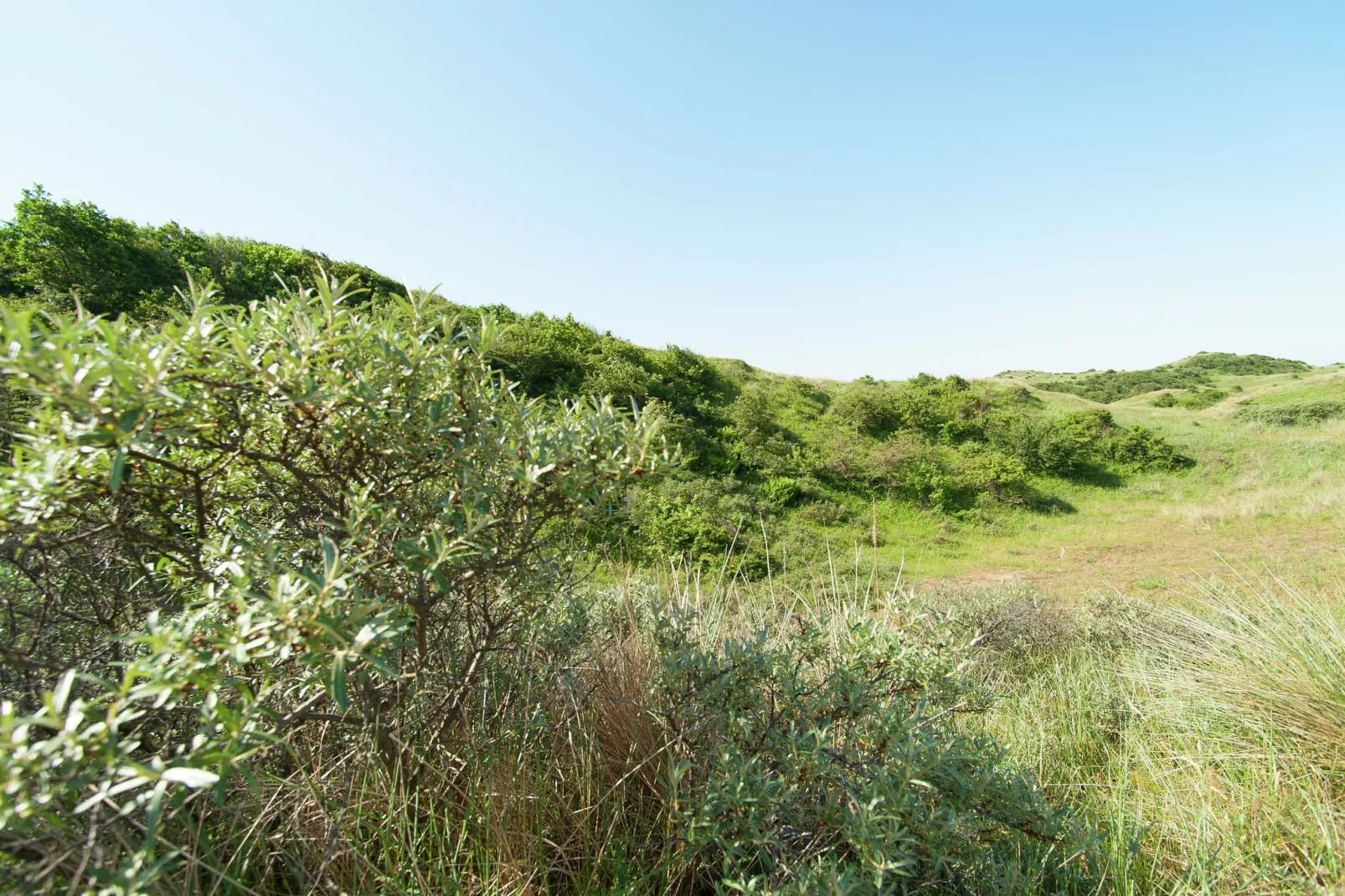 Sea Lodges Bloemendaal 2-Gebieden zomer 20km