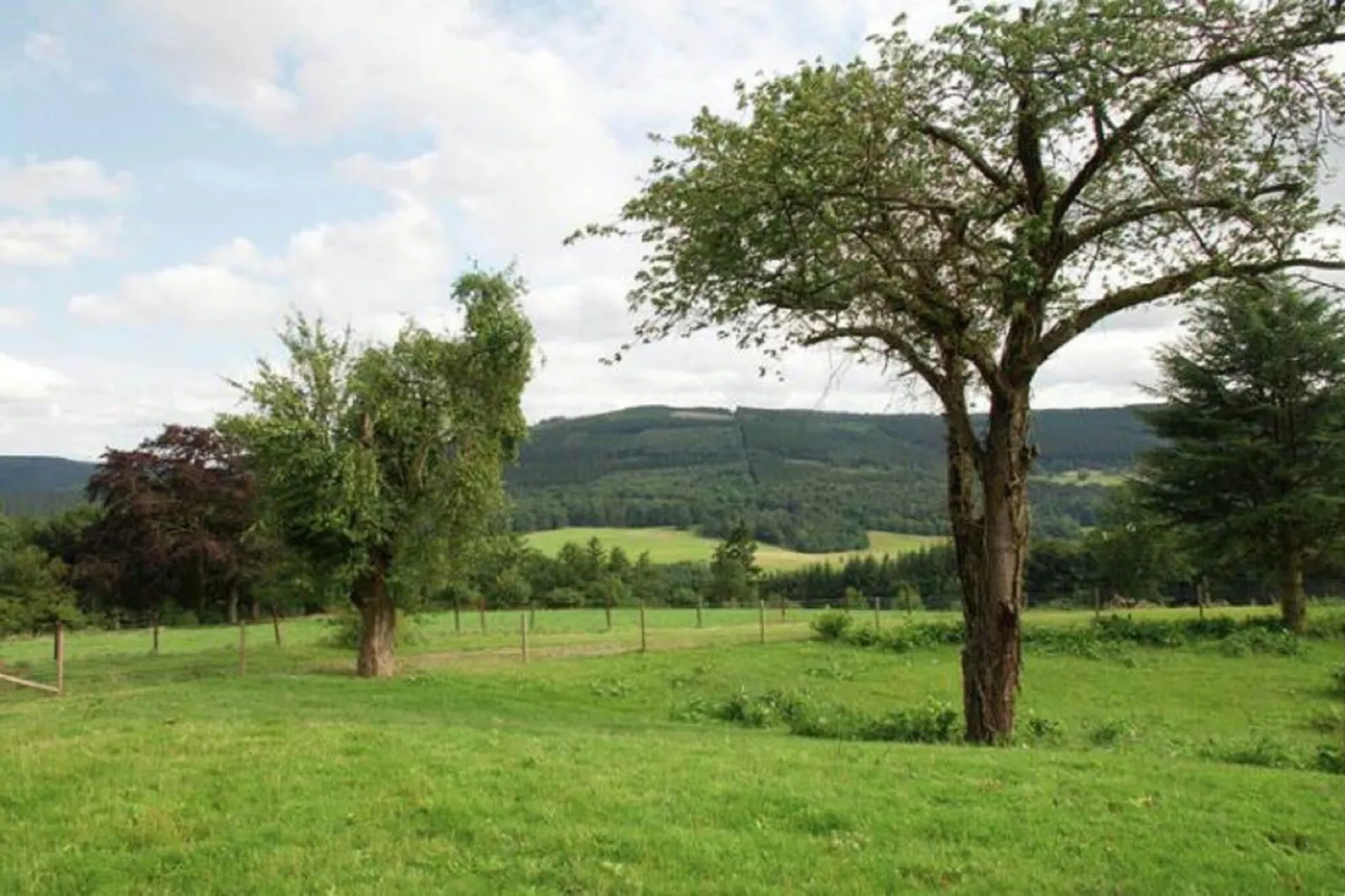 Gite de Froidcour-Uitzicht zomer