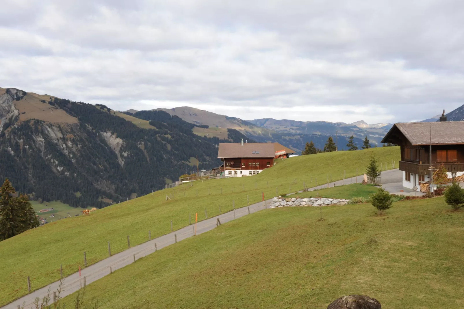 Appartement Salvisberg-Gebieden zomer 20km