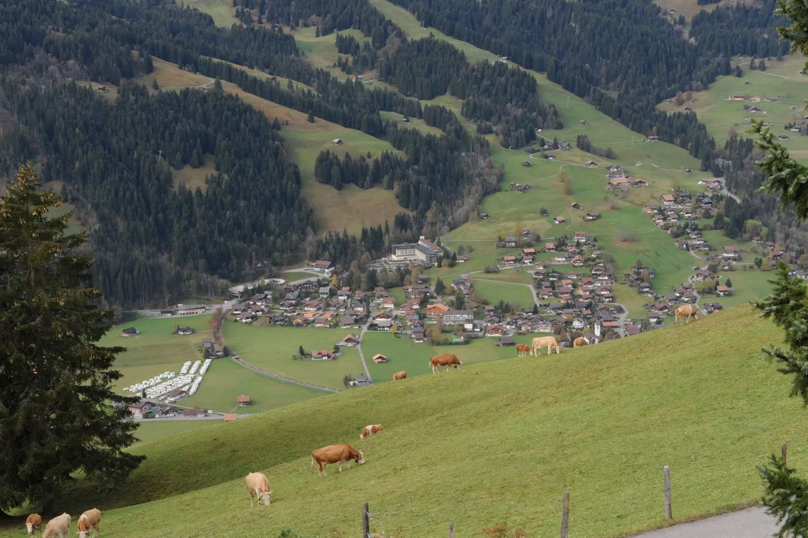 Appartement Salvisberg-Gebieden zomer 20km