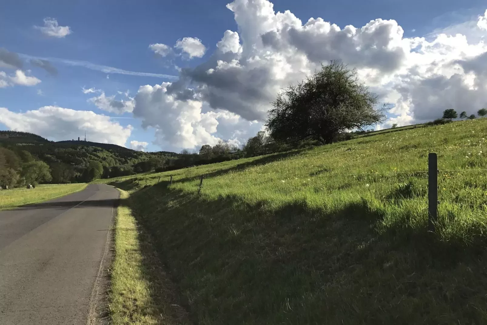 Am Sandberg-Gebieden zomer 1km