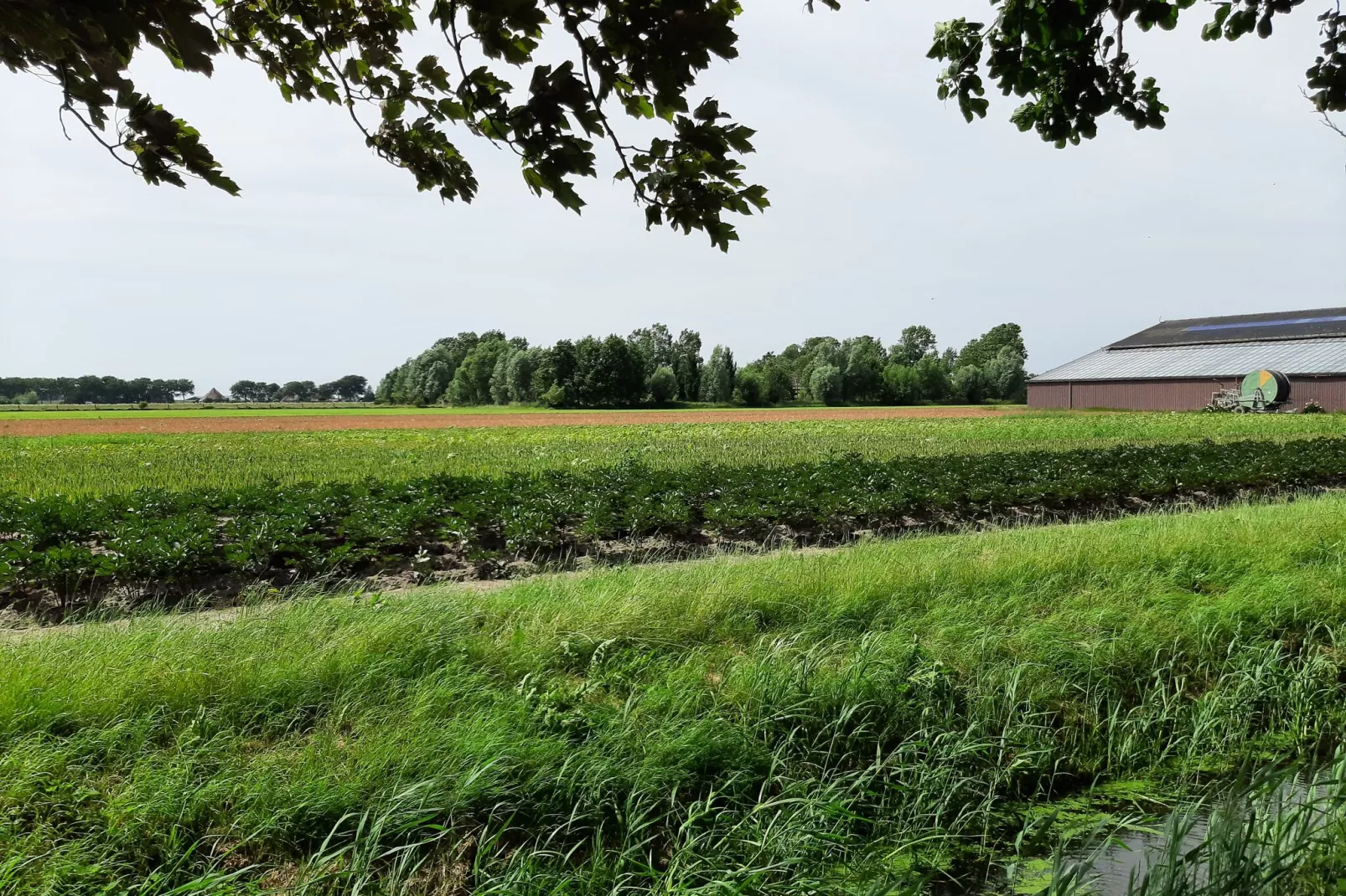 Vakantiehuis DJEZ-Gebieden zomer 1km