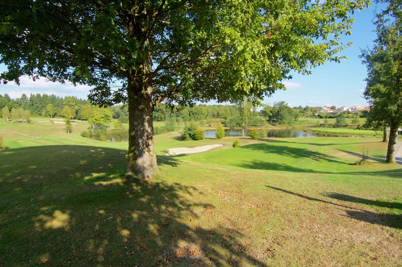 Le Castel-Gebieden zomer 5km