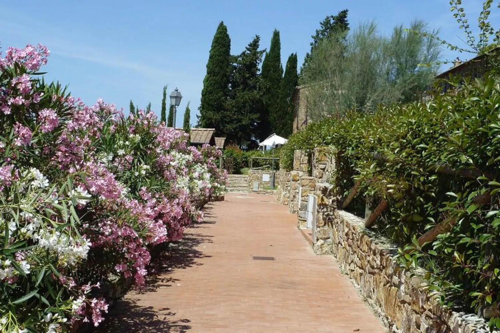 Holiday resort Antico Borgo Casalappi Campiglia Marittima - Type Trilo B- primo piano- balcone-Tuinen zomer