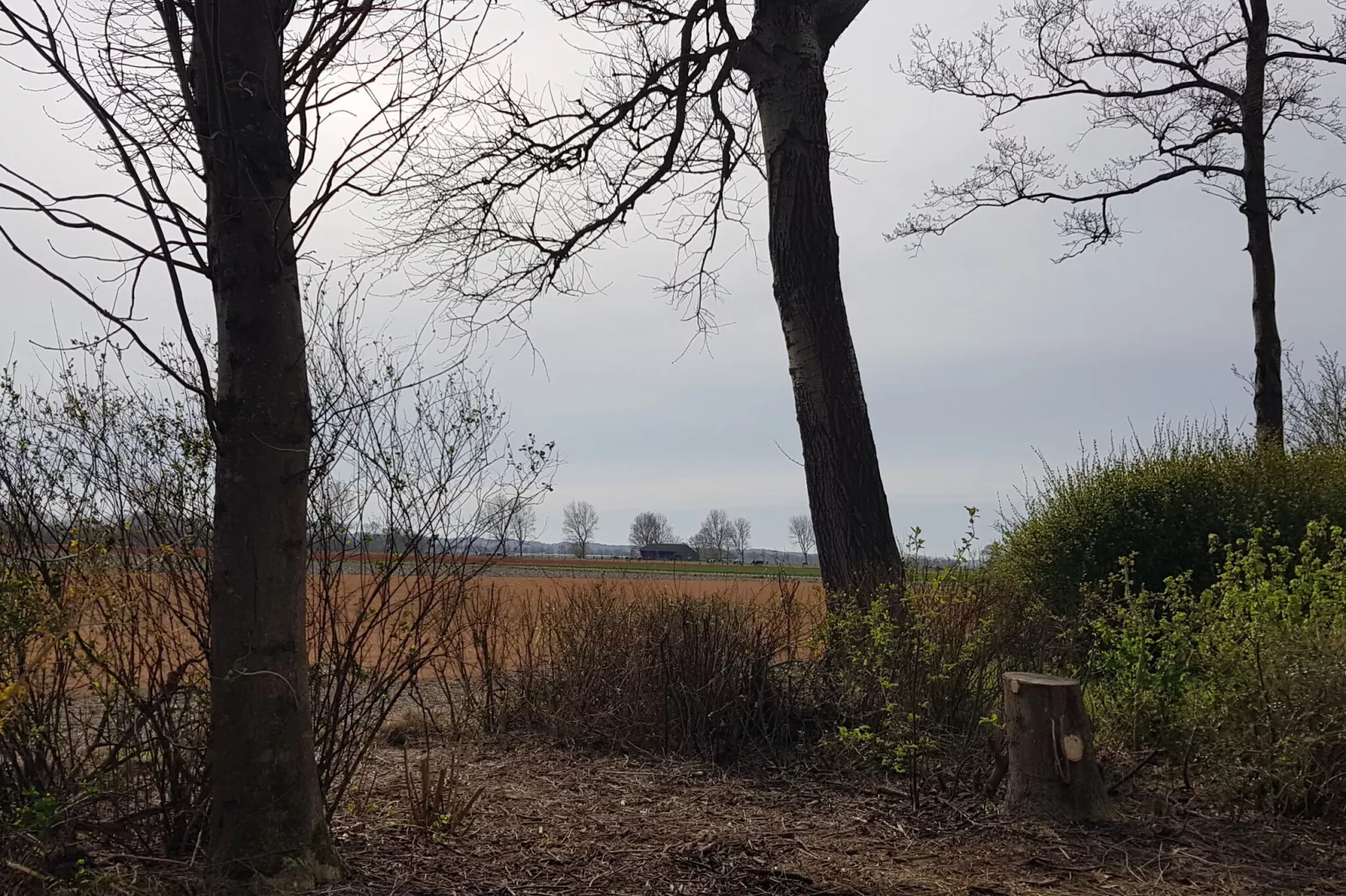 Vakantiehuis De Weide Blick-Tuinen zomer