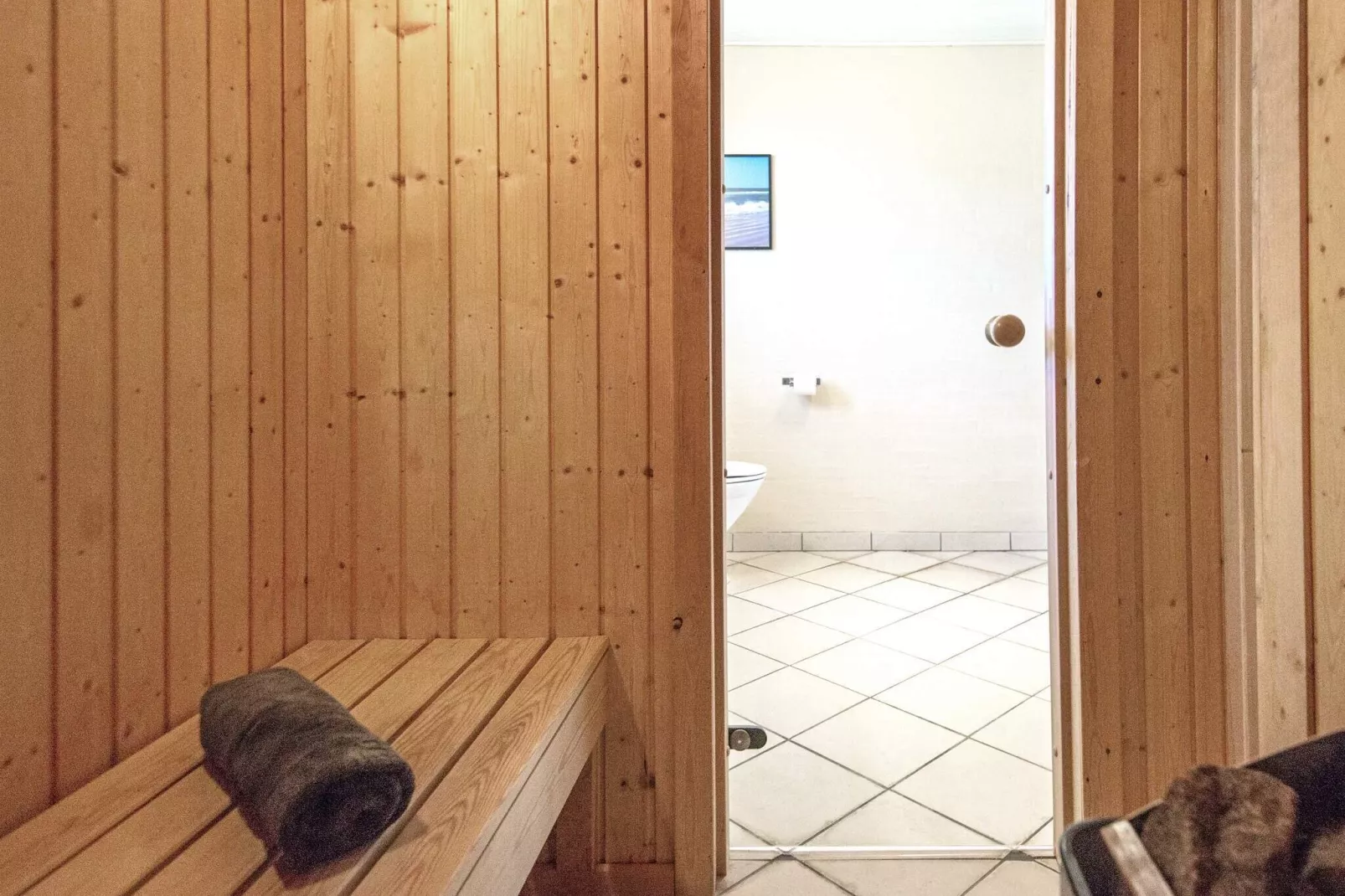 12 persoons vakantie huis in Blåvand-Sauna