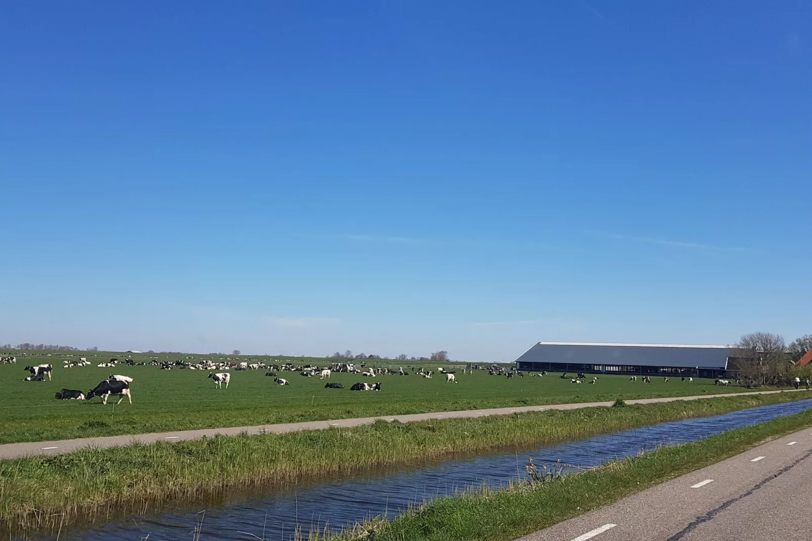 Vakantiehuis De Weide Blick-Gebied winter 1km