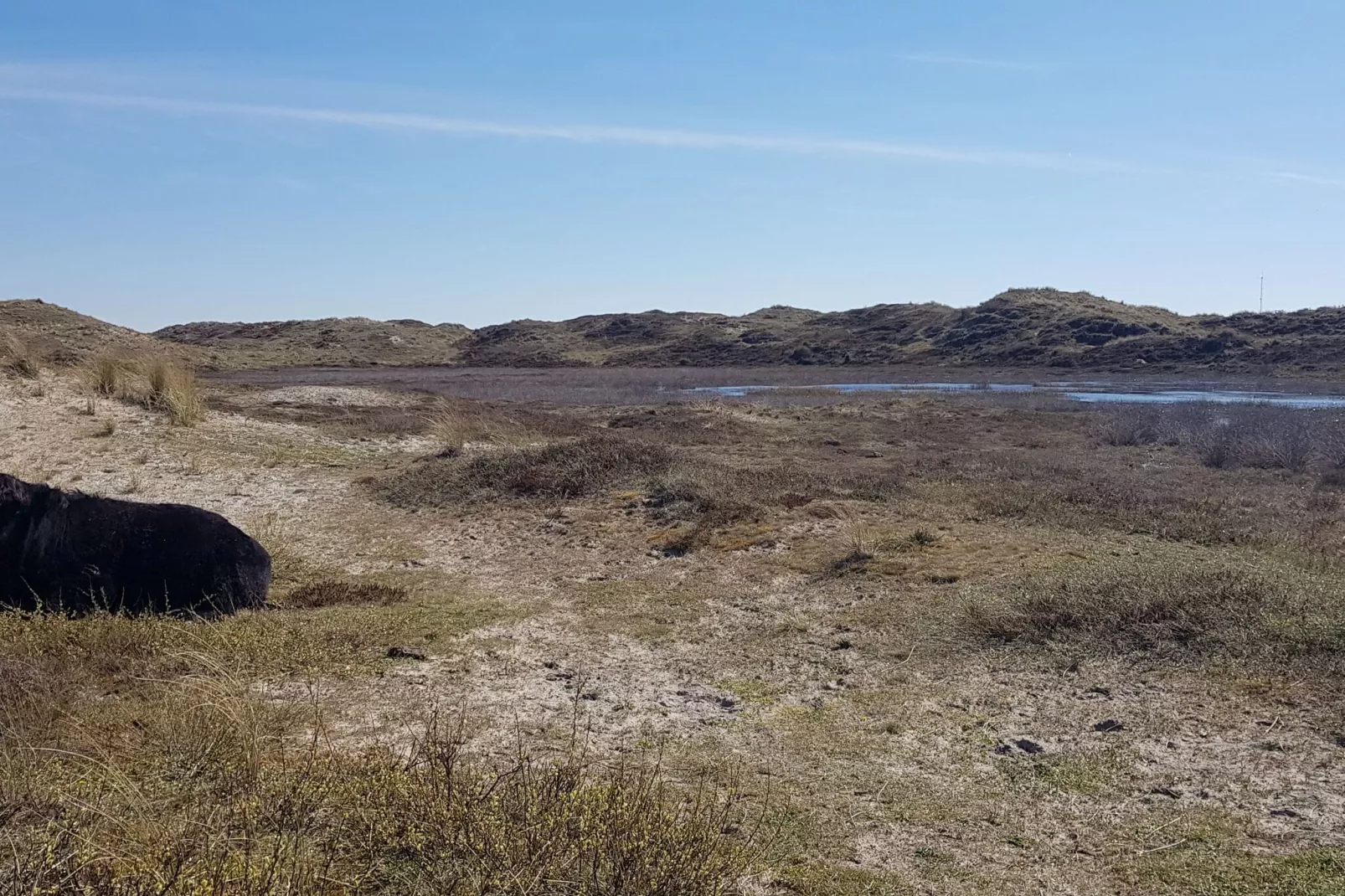 Vakantiehuis De Weide Blick-Gebieden zomer 5km