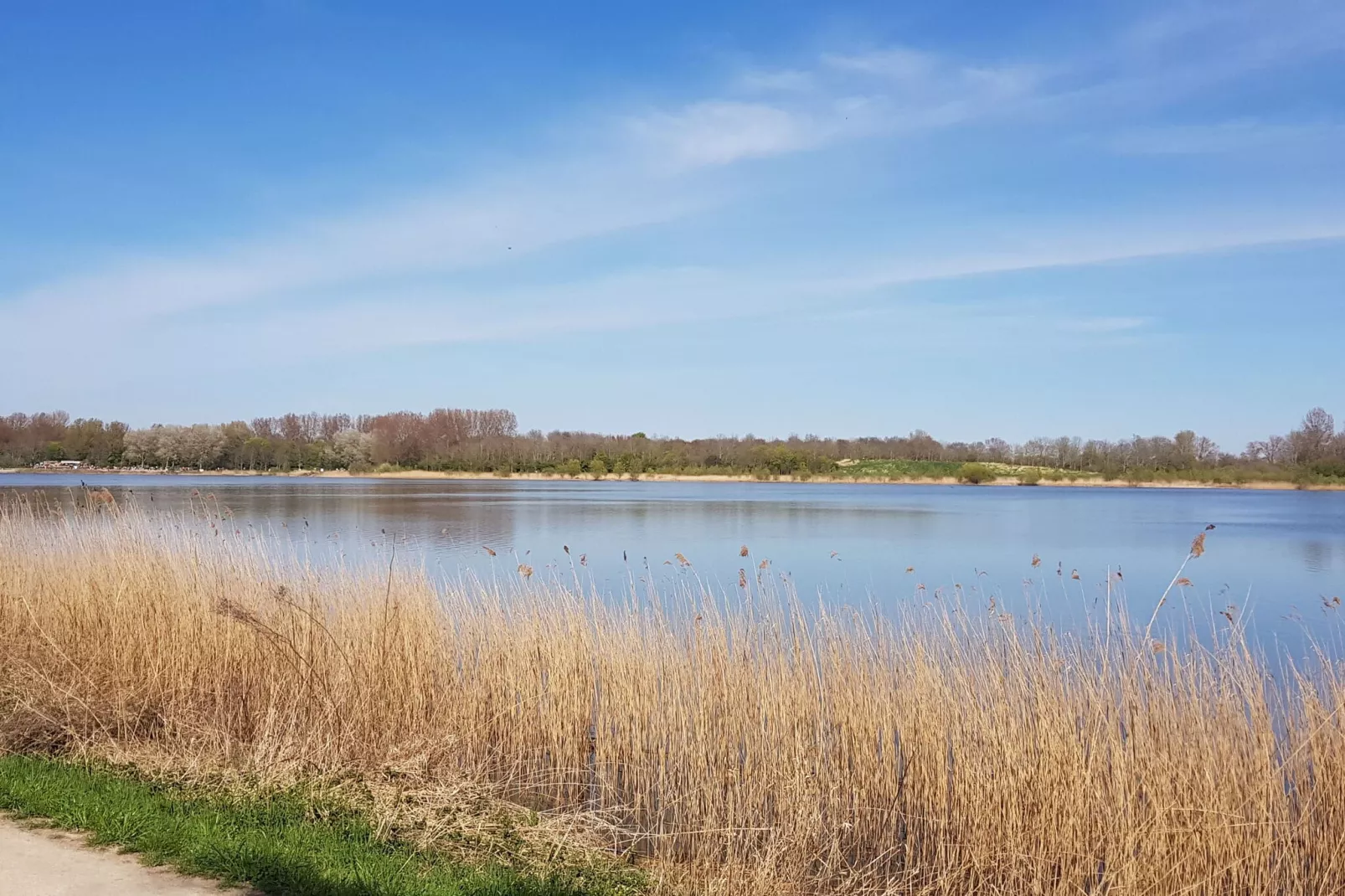 Vakantiehuis De Weide Blick-Gebieden zomer 5km