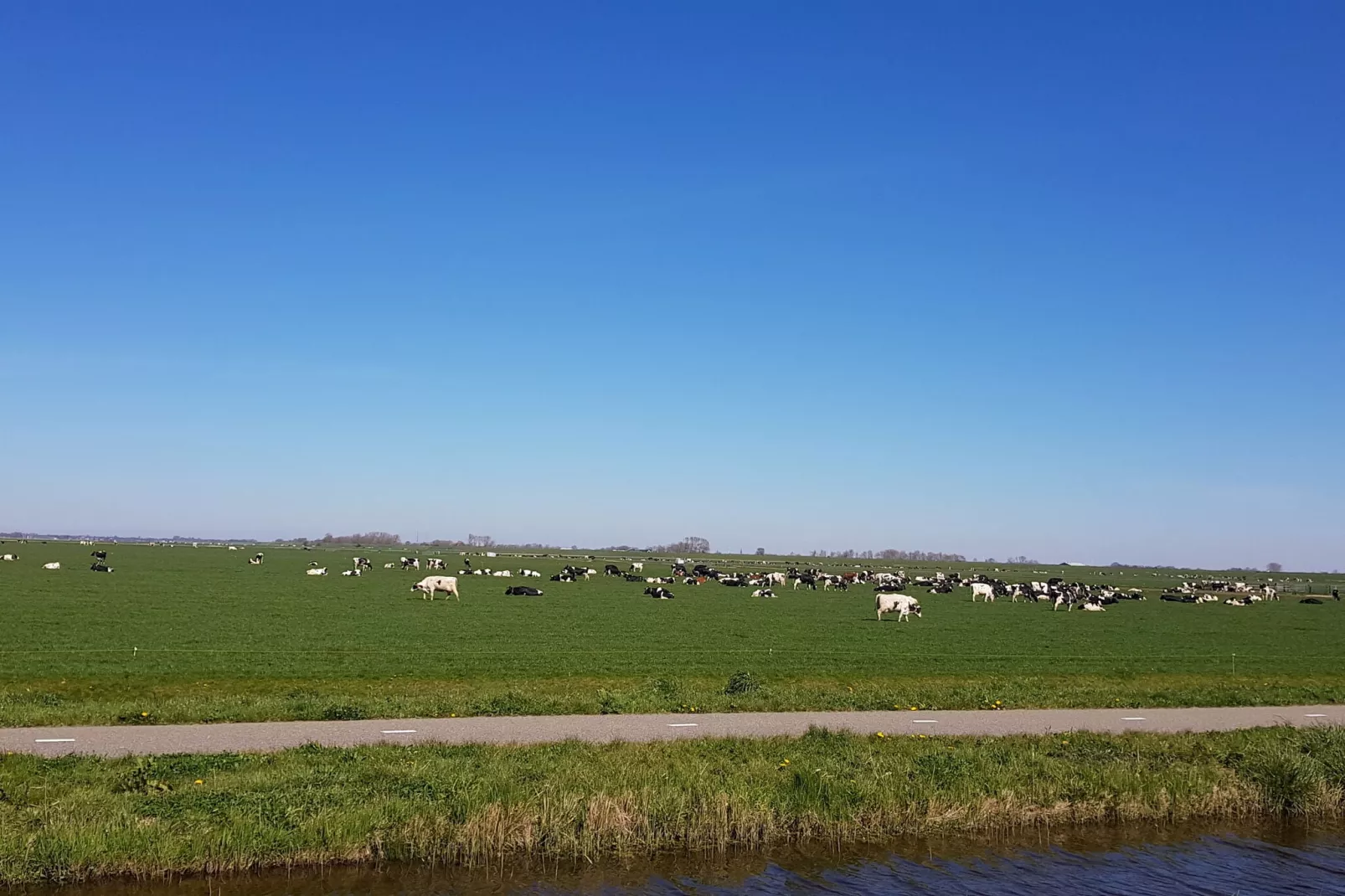 Vakantiehuis De Weide Blick-Gebieden zomer 5km