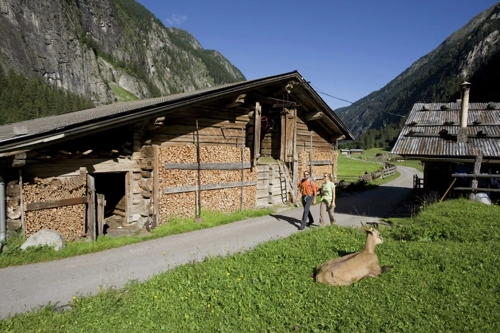Honsnerhof-Gebieden zomer 5km