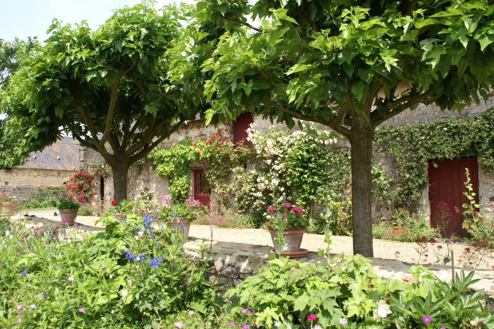 Maison de vacances St Laurent des Mortiers-Tuinen zomer