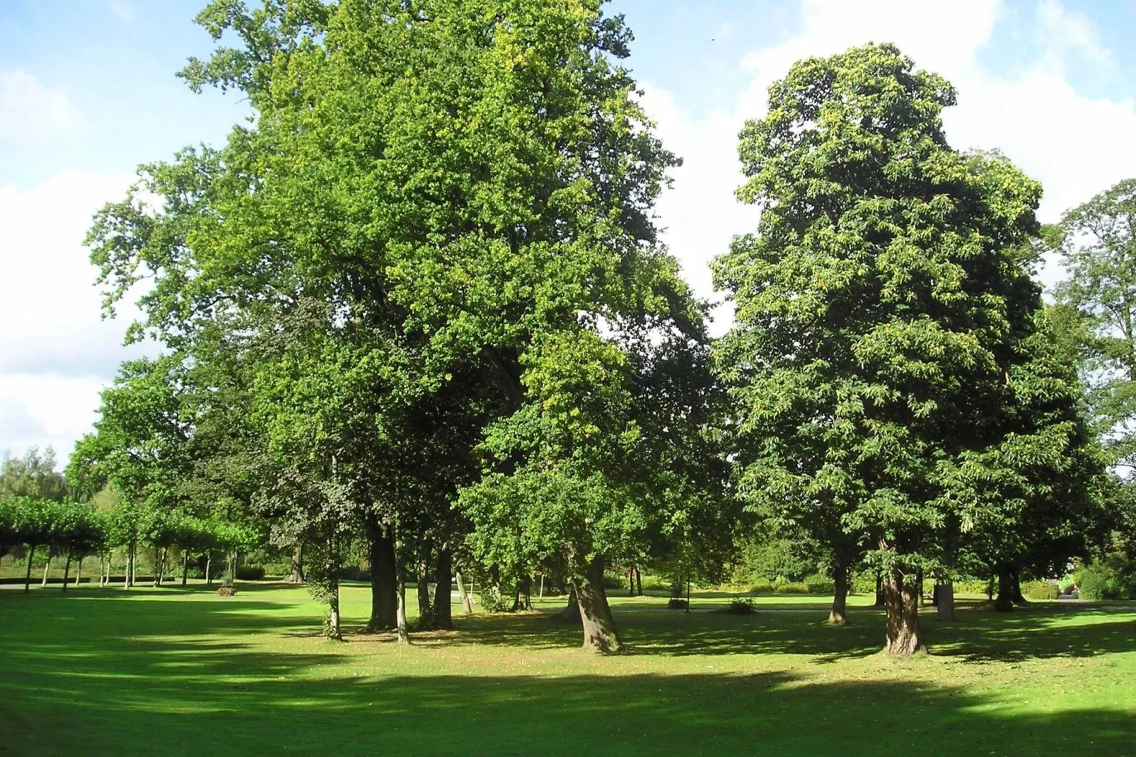 Ferienresort Bad Bentheim 17-Gebieden zomer 20km