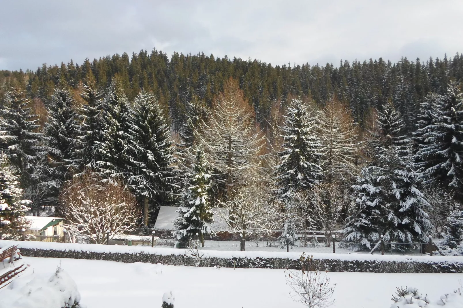Ferienhaus im Thüringer Wald-Uitzicht winter