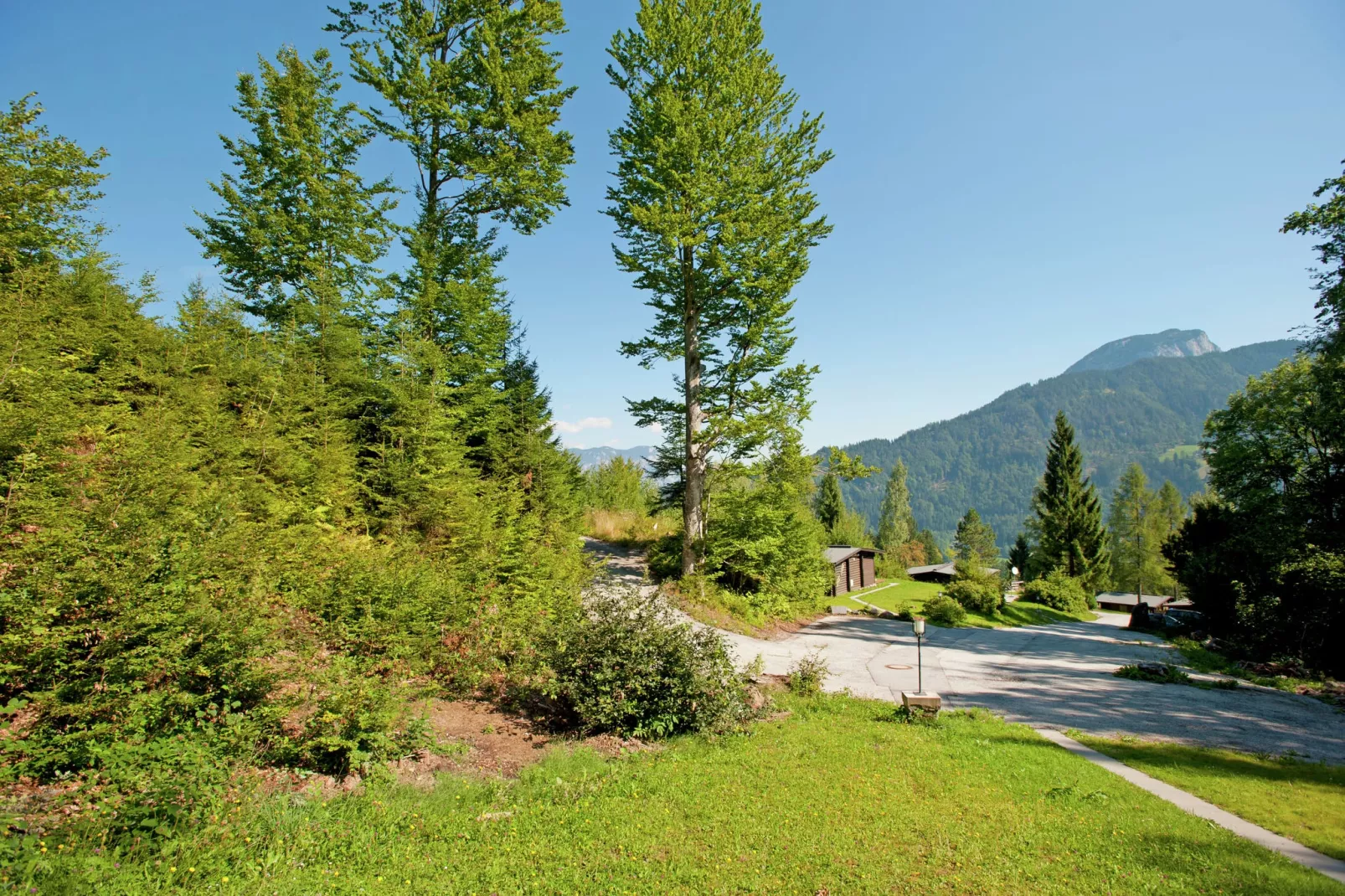 Chalet Catharina im Brixental-Uitzicht zomer