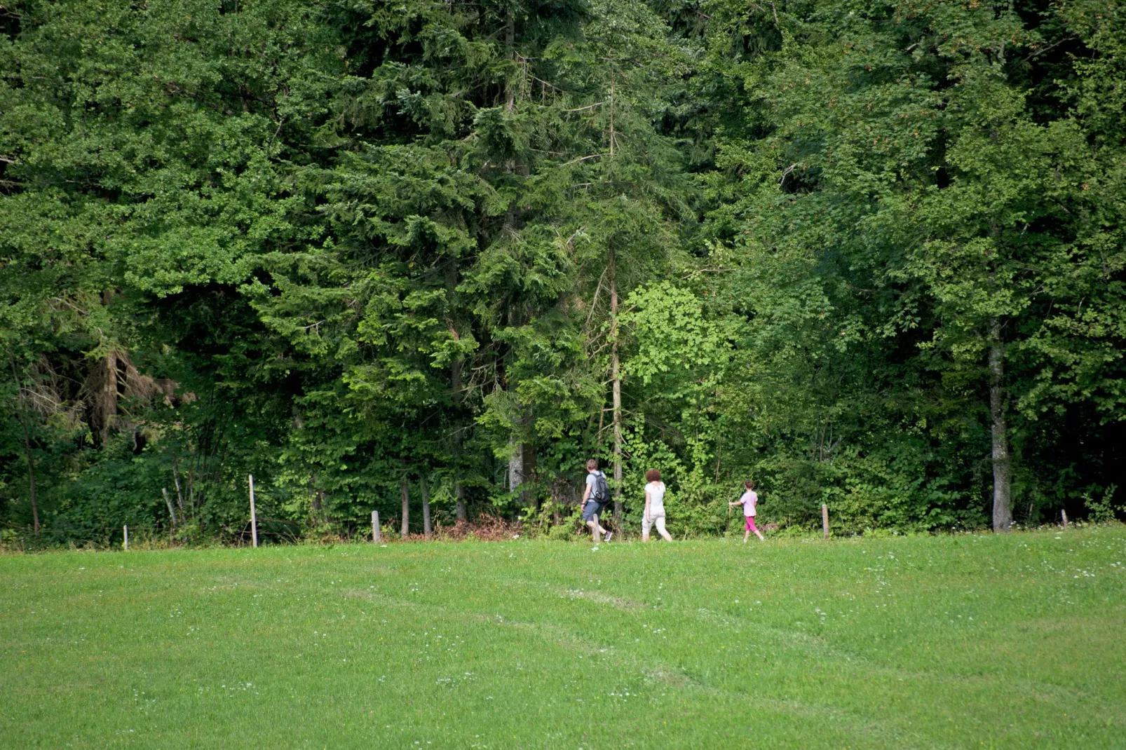 Chalet Catharina im Brixental-Gebieden zomer 1km
