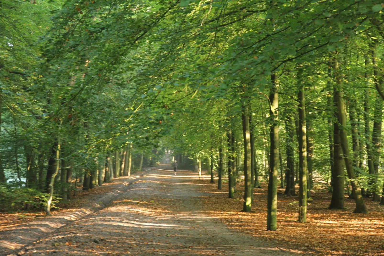 De Reker Zon-Gebieden zomer 1km