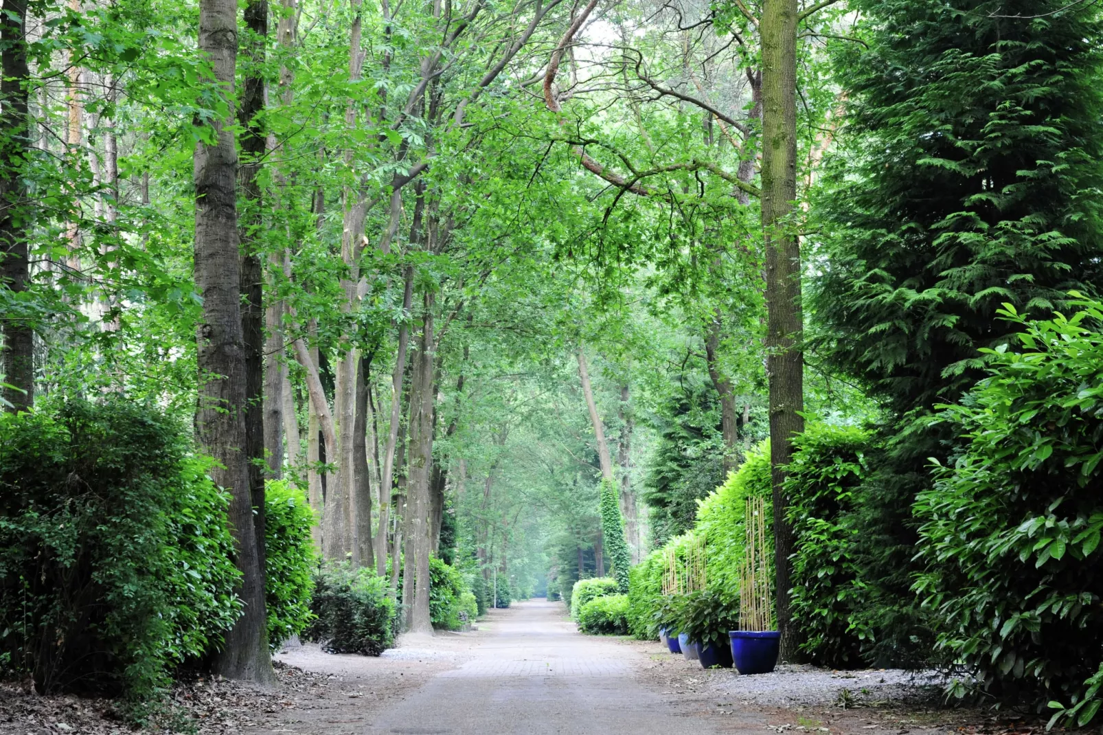 Parc de Kievit 1-Gebieden zomer 1km