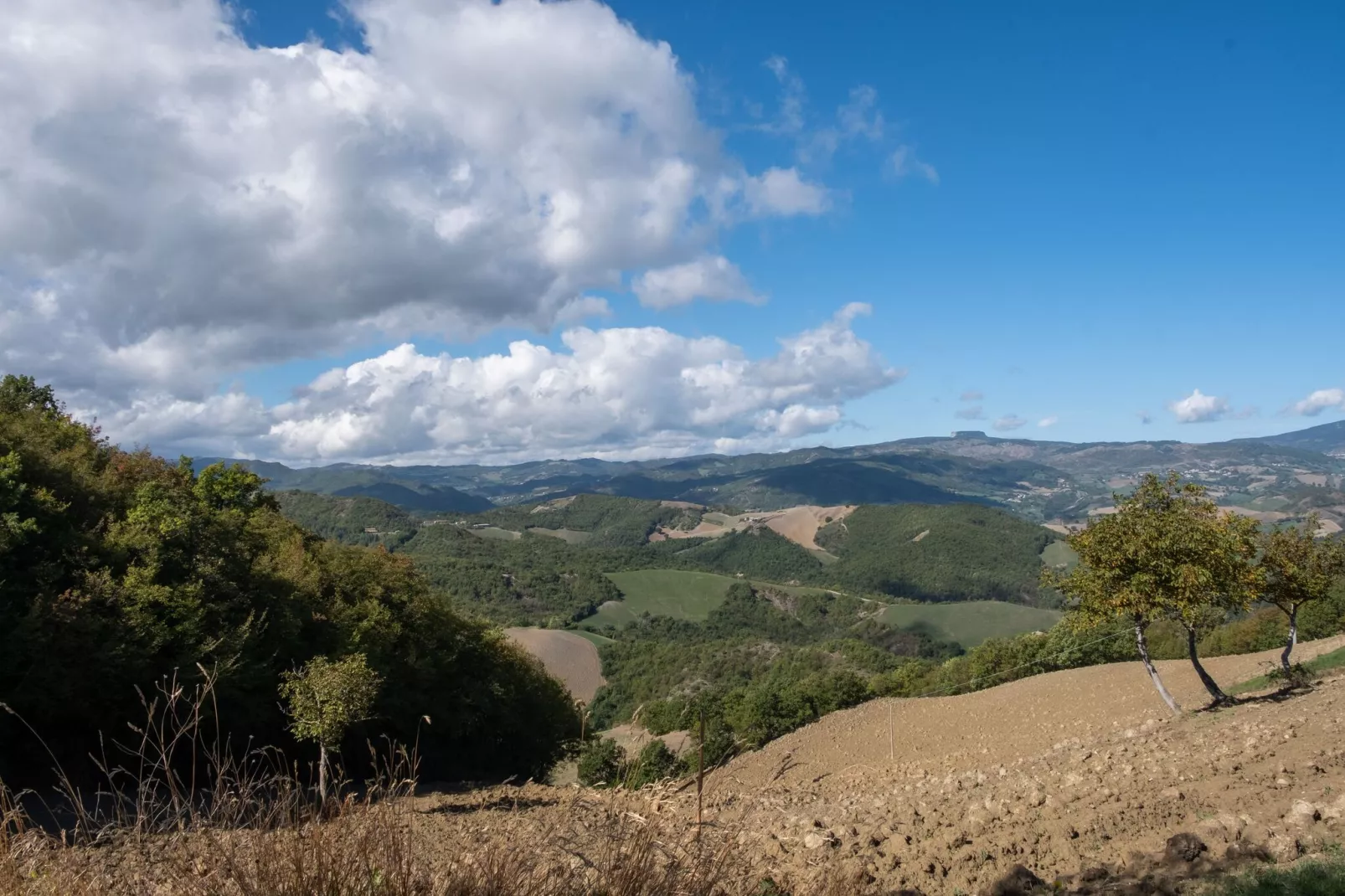 Borgo Tre-Gebieden zomer 5km