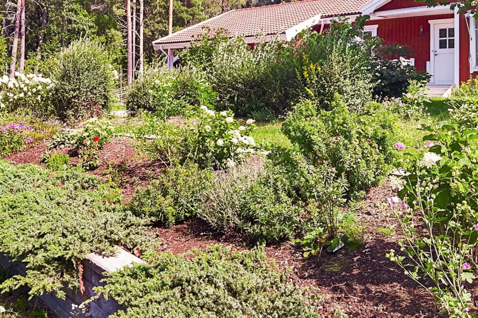 6 persoons vakantie huis in VäTö-Buitenlucht