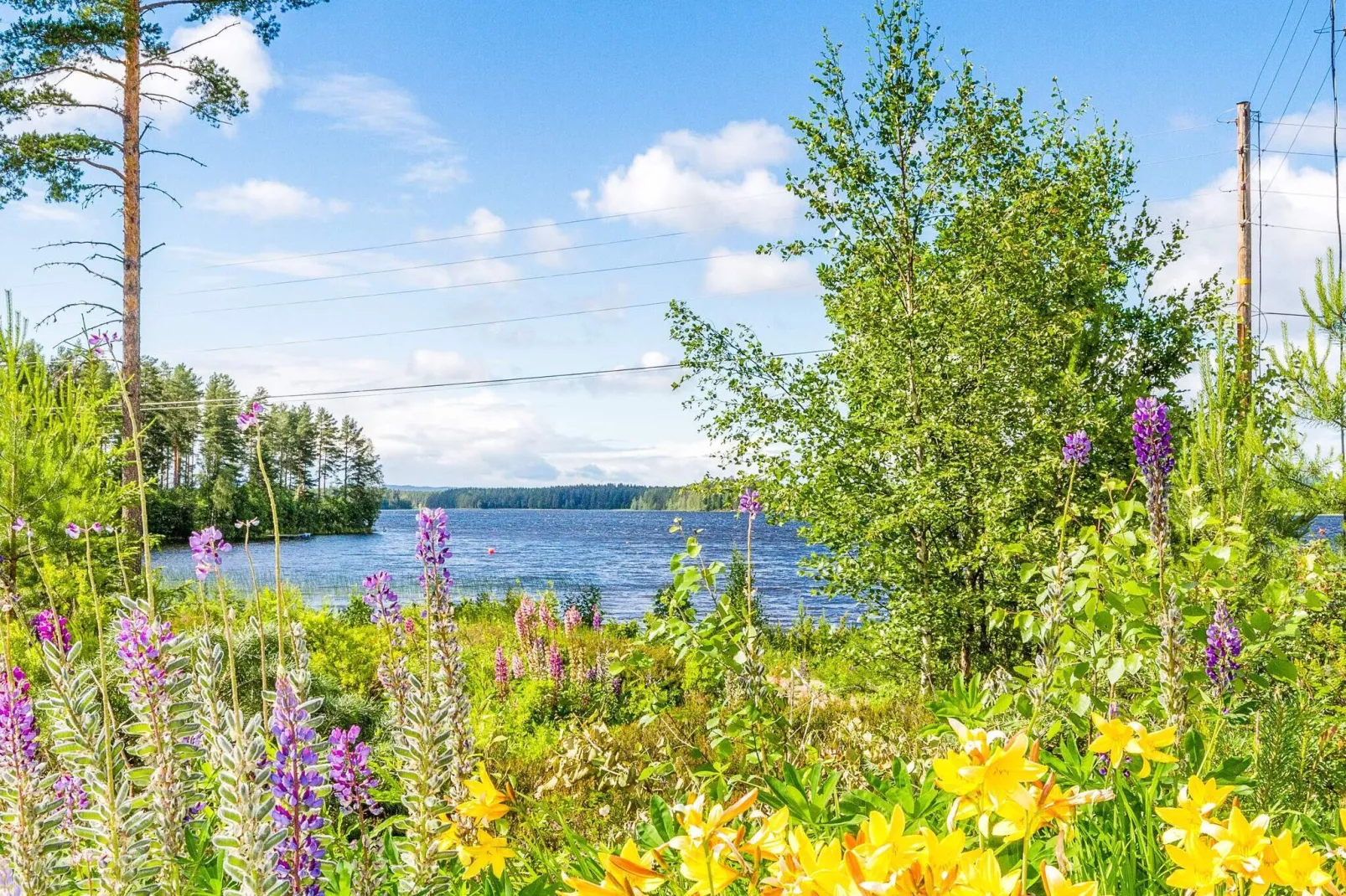 4 sterren vakantie huis in VäTö-Waterzicht