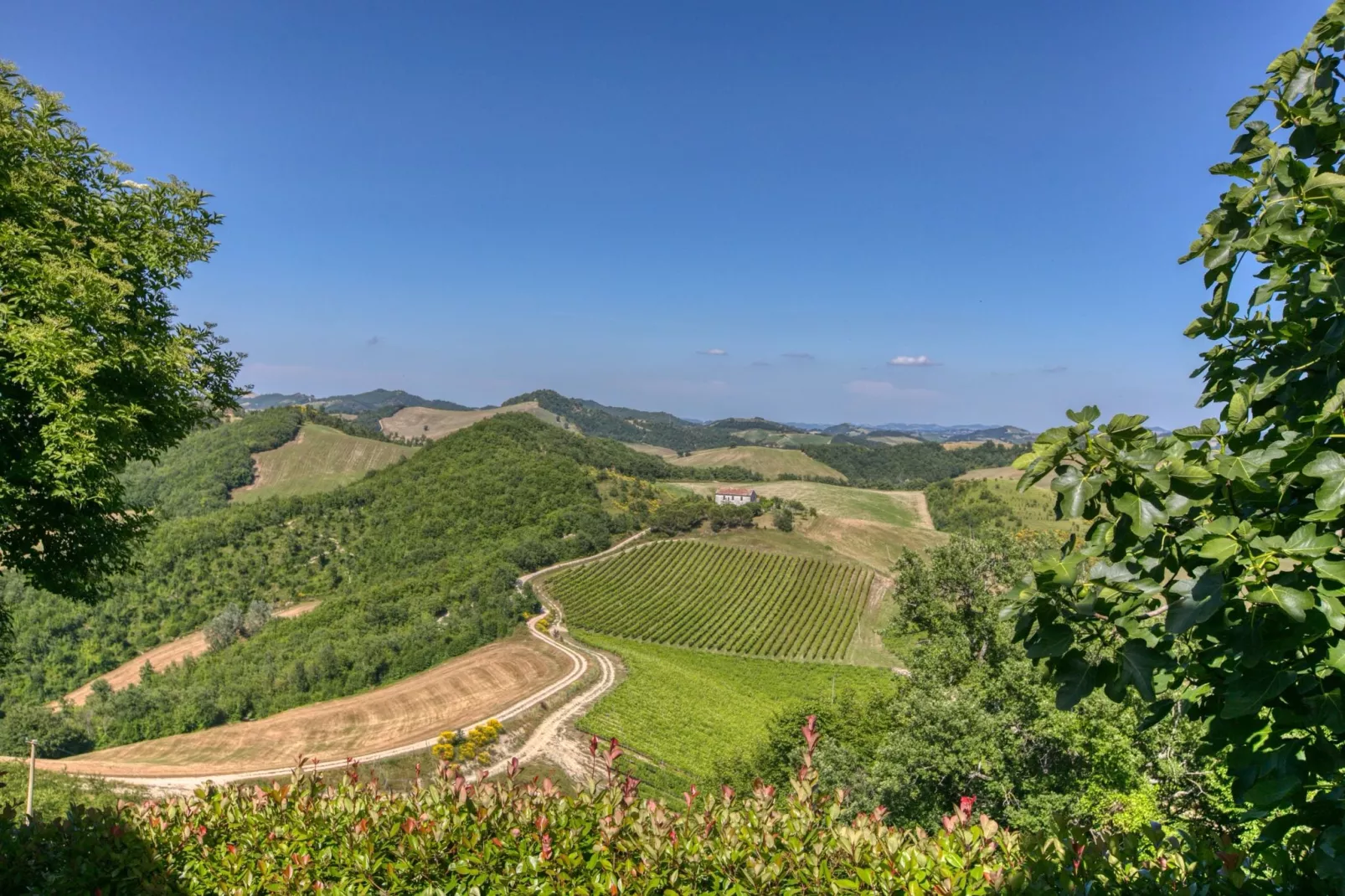 Borgo Quattro-Gebieden zomer 20km