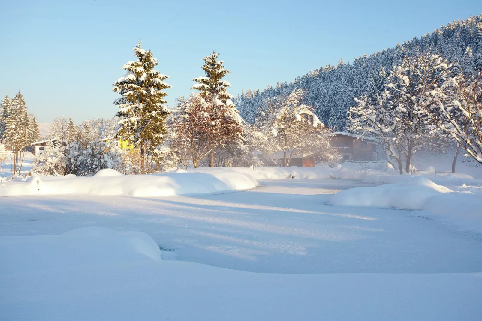 Forellenhof-Tuin winter