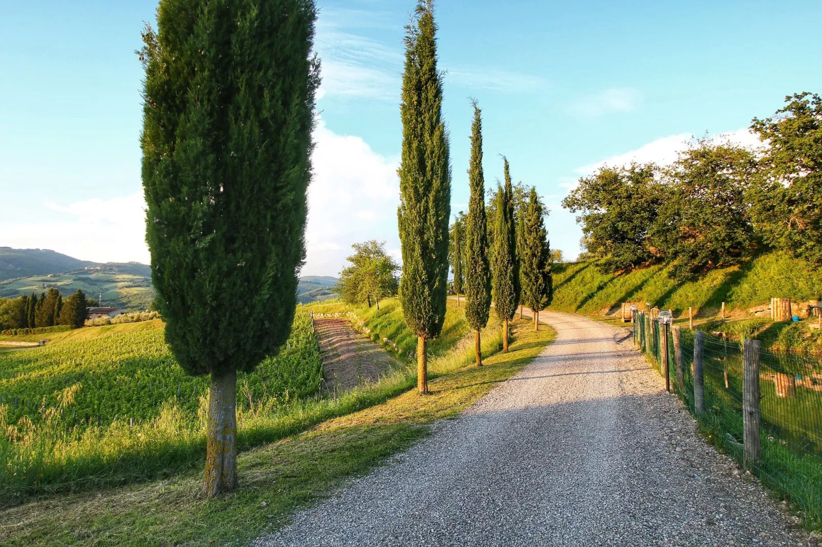 Villa Ulivo-Gebieden zomer 1km