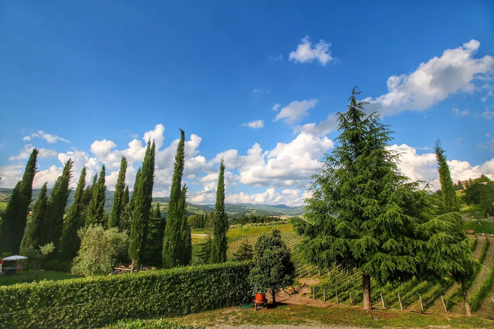 Villa Ulivo-Gebieden zomer 5km