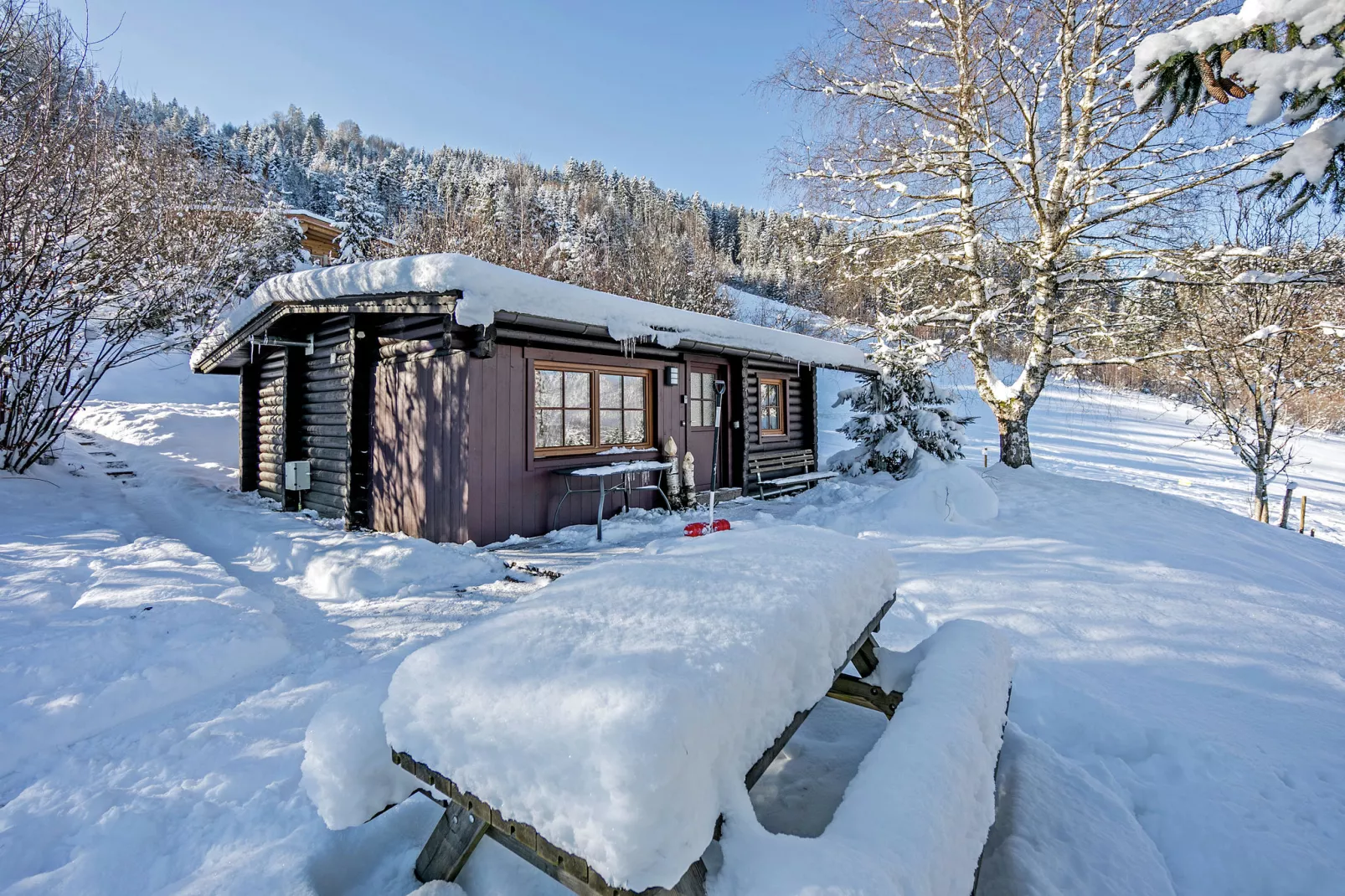 Chalet im Brixental I-Exterieur winter