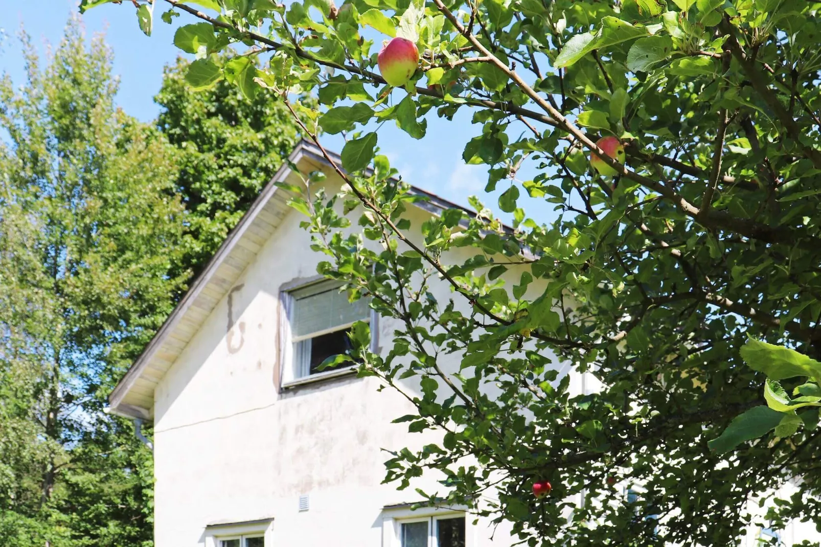6 persoons vakantie huis in ÖSTRA ÄNTERVIK-Buitenlucht