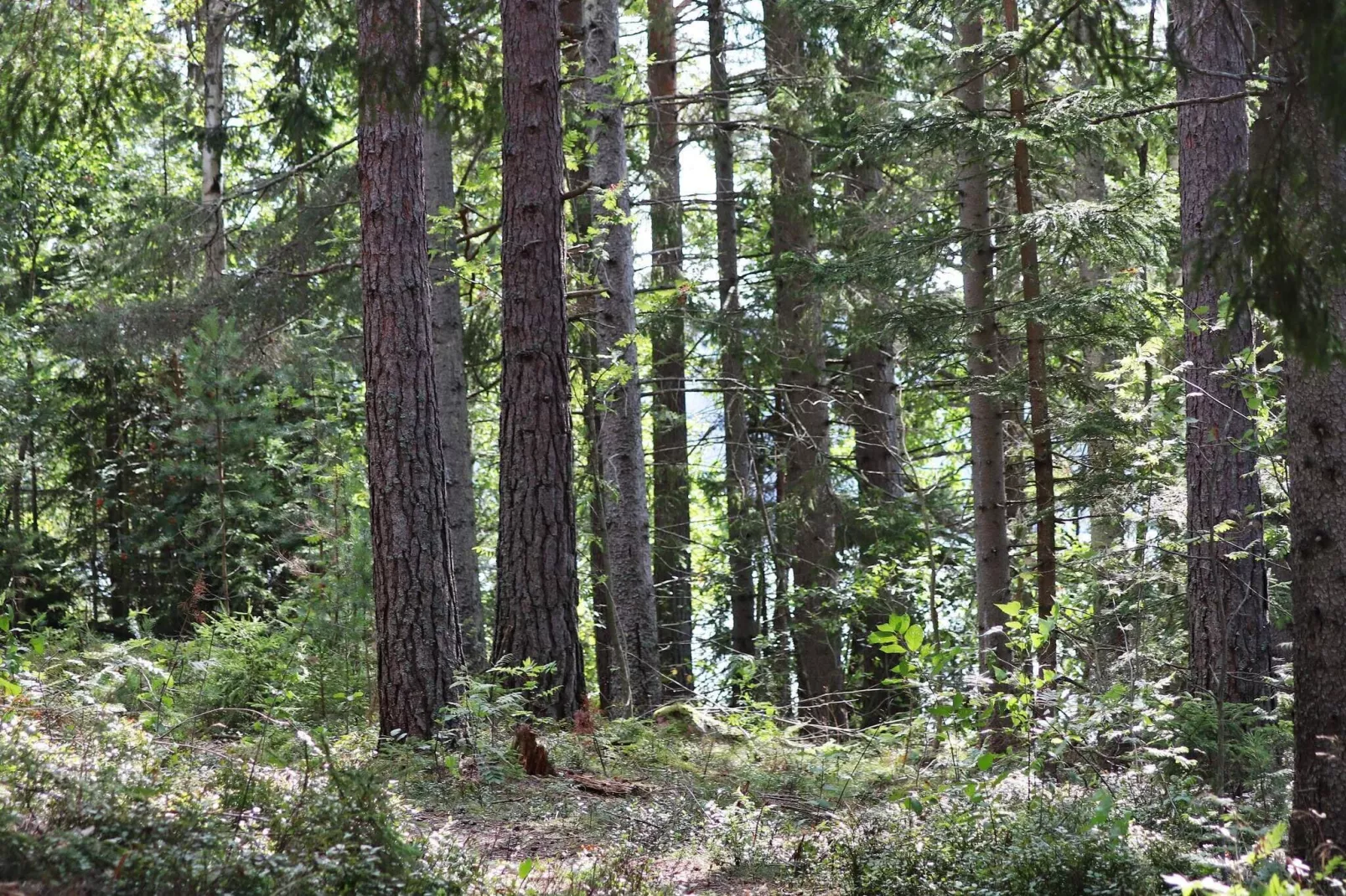 6 persoons vakantie huis in ÖSTRA ÄNTERVIK-Uitzicht