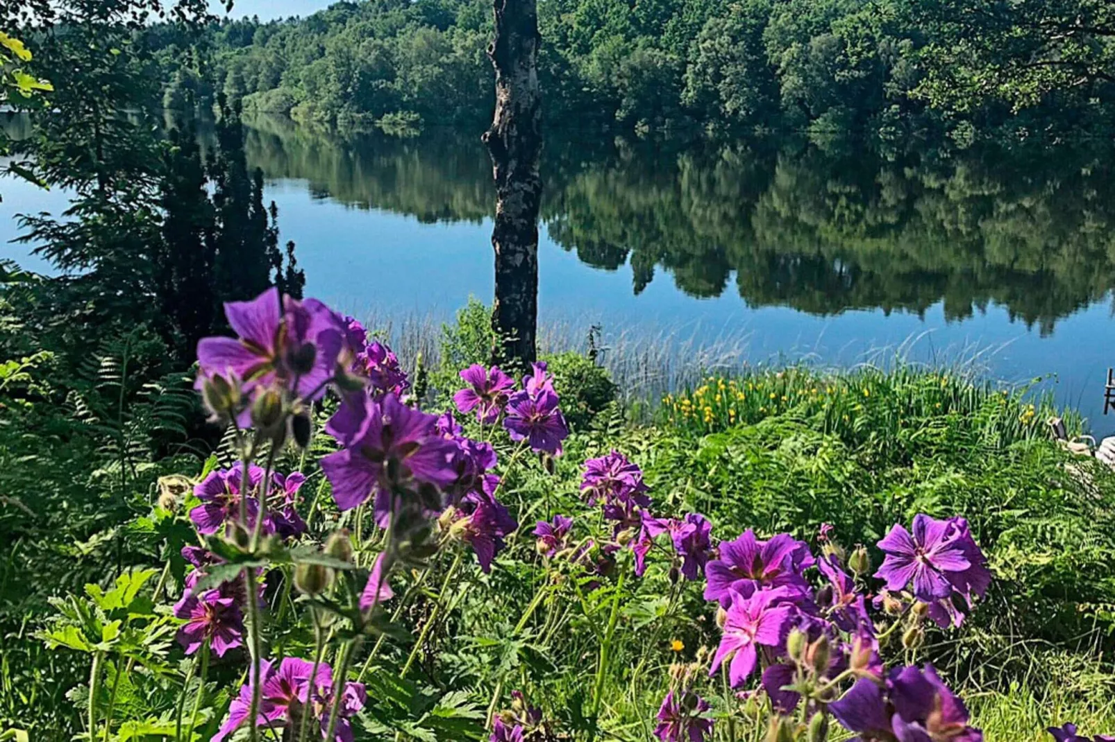 6 persoons vakantie huis in Bryrup-Buitenlucht