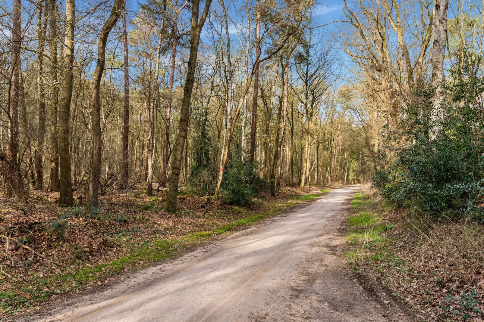 De Hooischuur in Hellendoorn-Gebieden zomer 5km