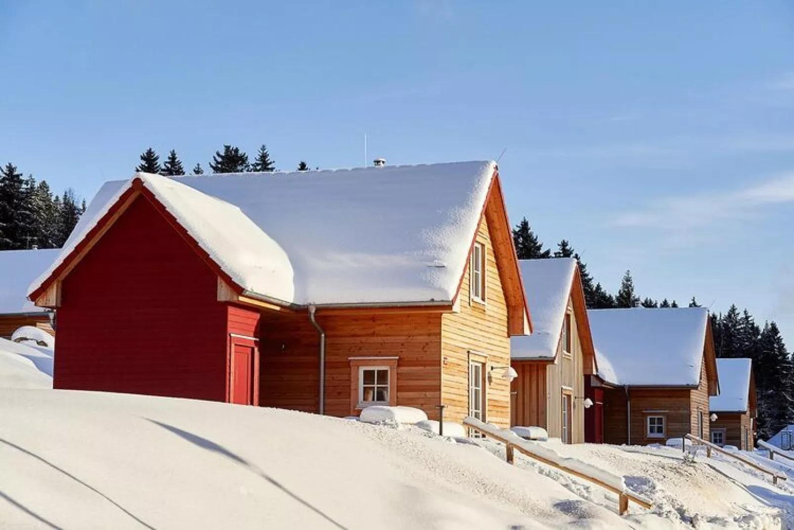 ExclusivLodge - 6 Pers-Exterieur winter