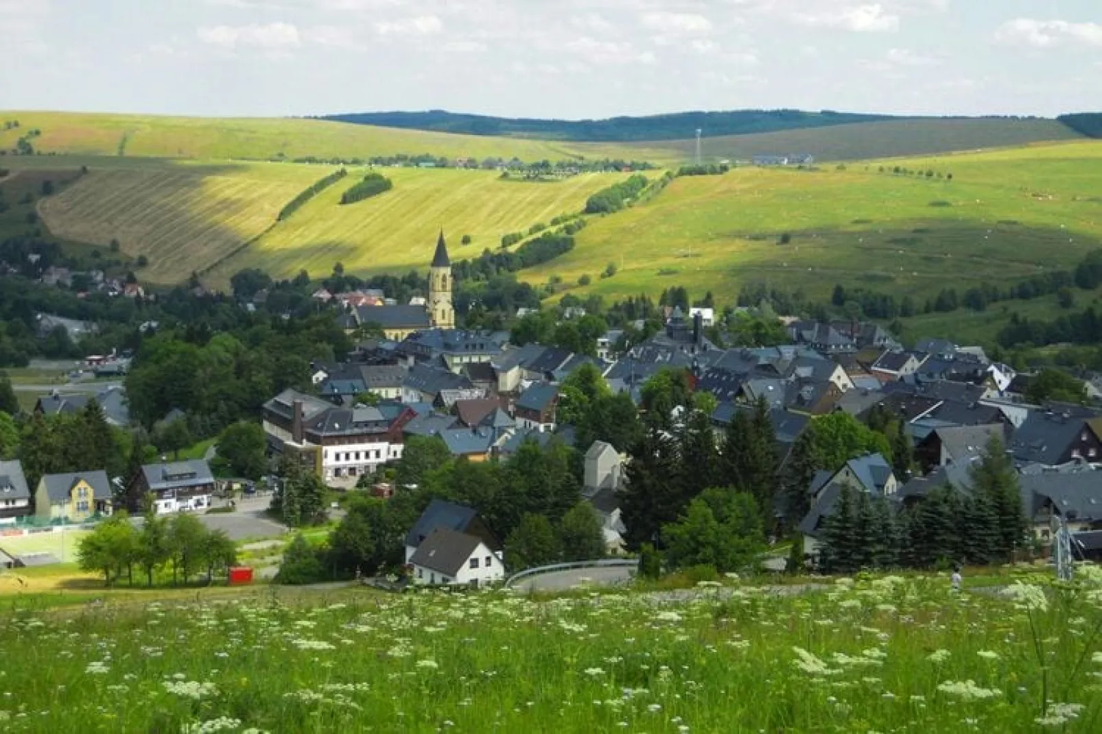 Ferienhaus Oberwiesenthal-Gebieden zomer 1km