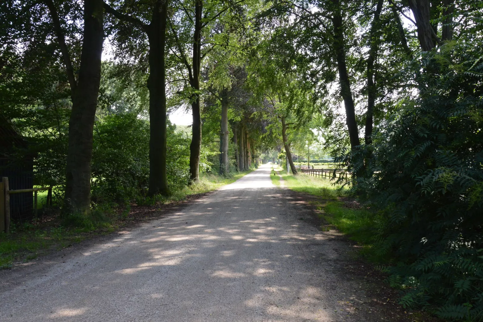 Het Kruisselt-Gebieden zomer 1km