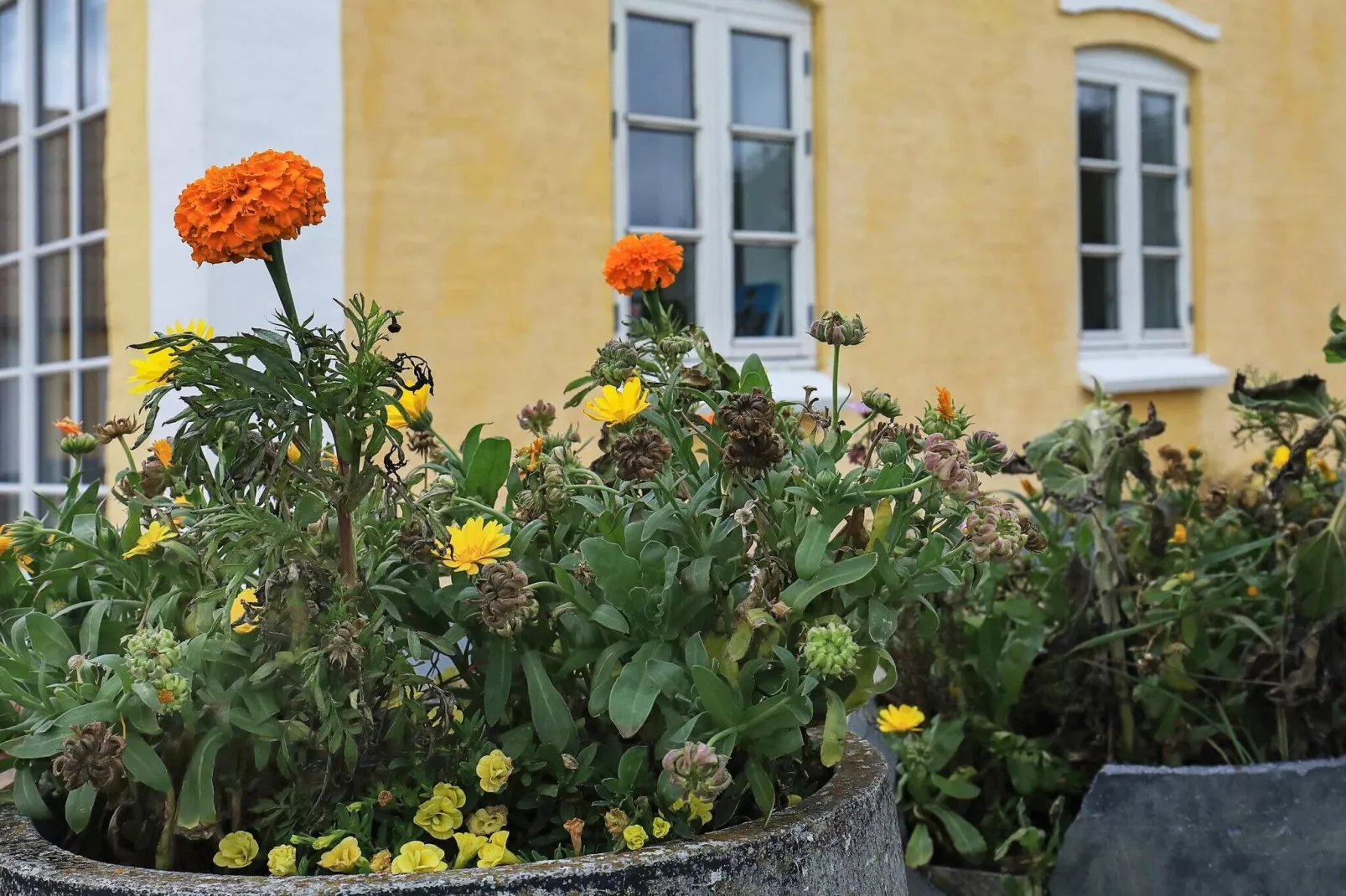 16 persoons vakantie huis in Nykøbing M-Uitzicht