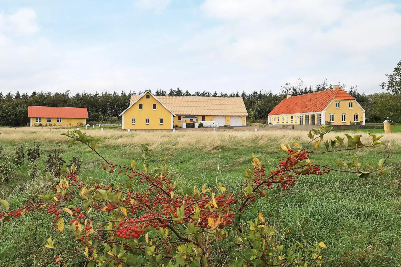 16 persoons vakantie huis in Nykøbing M-Uitzicht