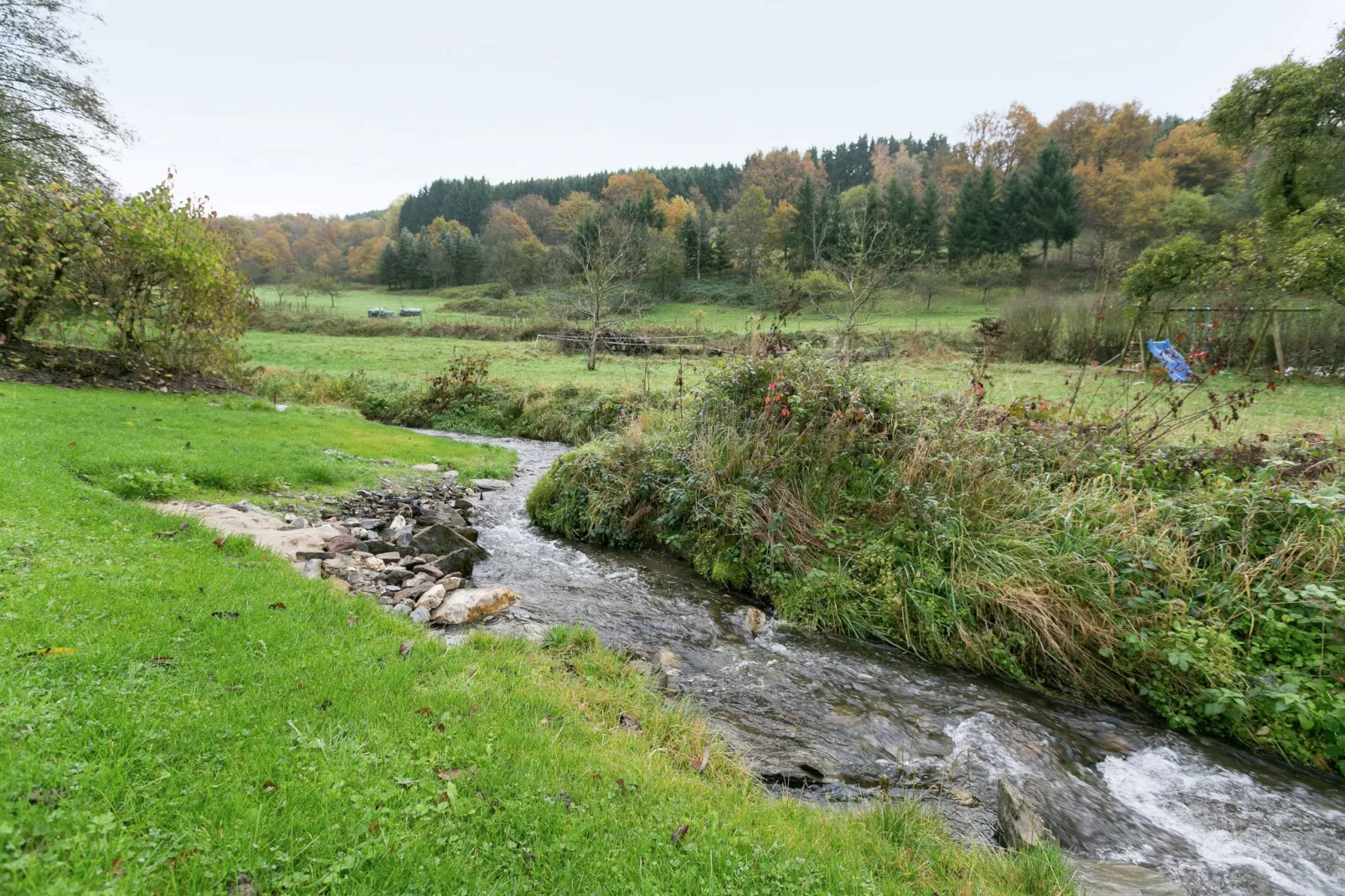 Wald-Gebieden zomer 1km