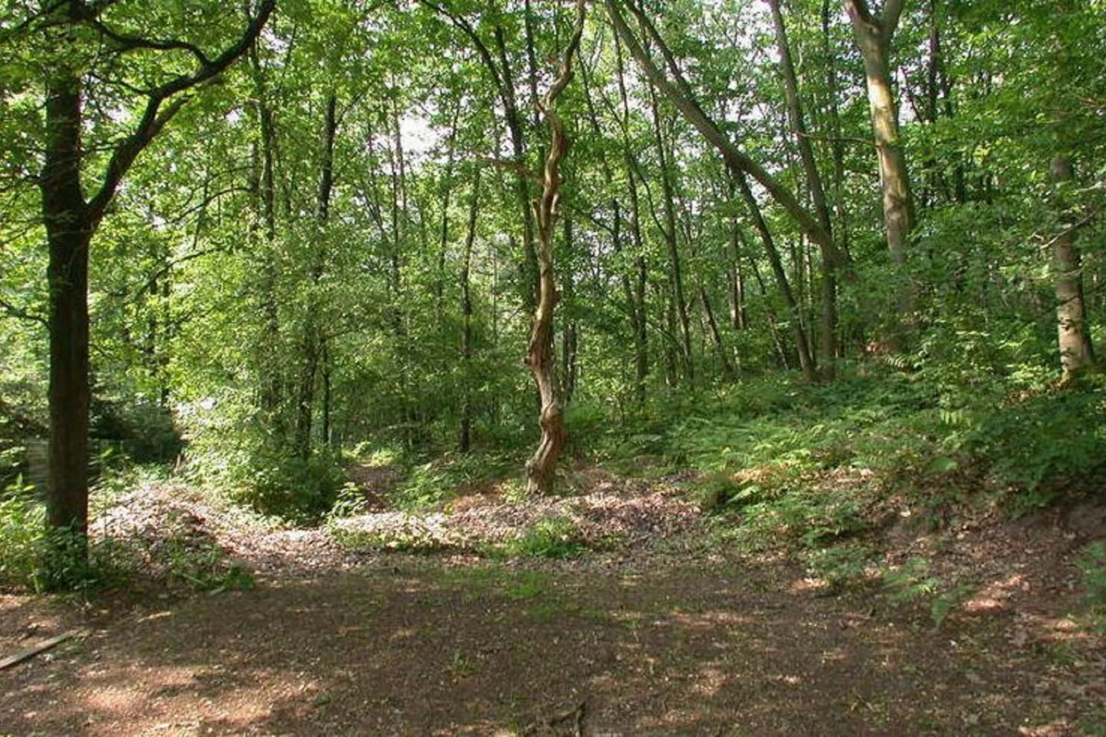 Het Hertenbos-Gebieden zomer 1km