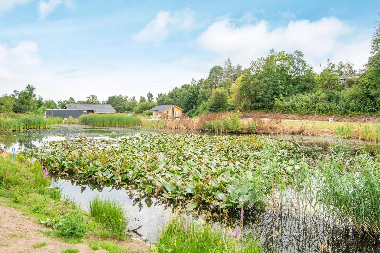 5 sterren vakantie huis in Ebeltoft-Waterzicht