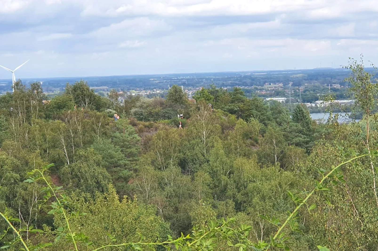 Boshuis het Eekhoorntje-Gebieden zomer 5km