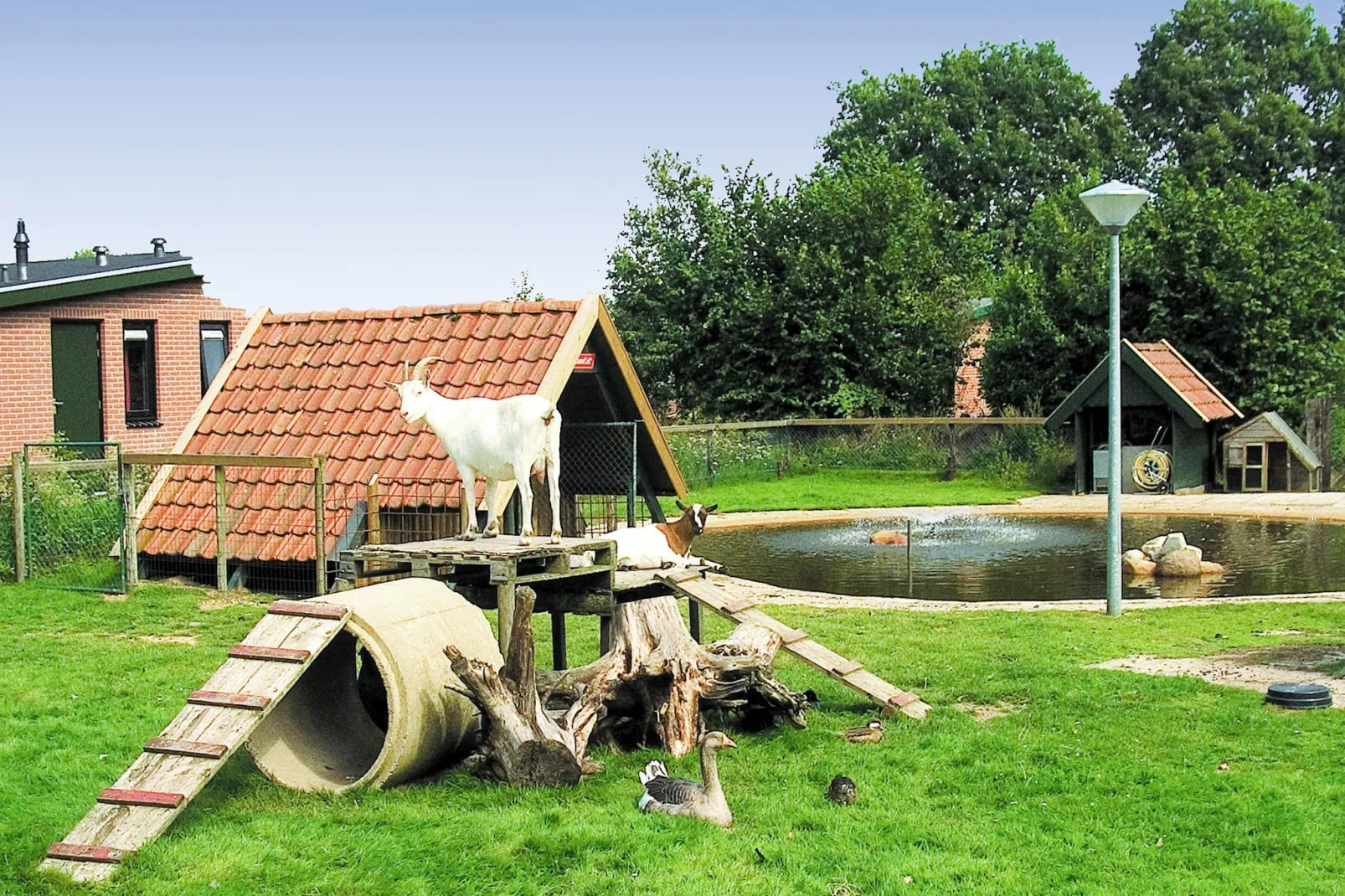 Vakantiepark de Lindenberg 3-Parkfaciliteiten