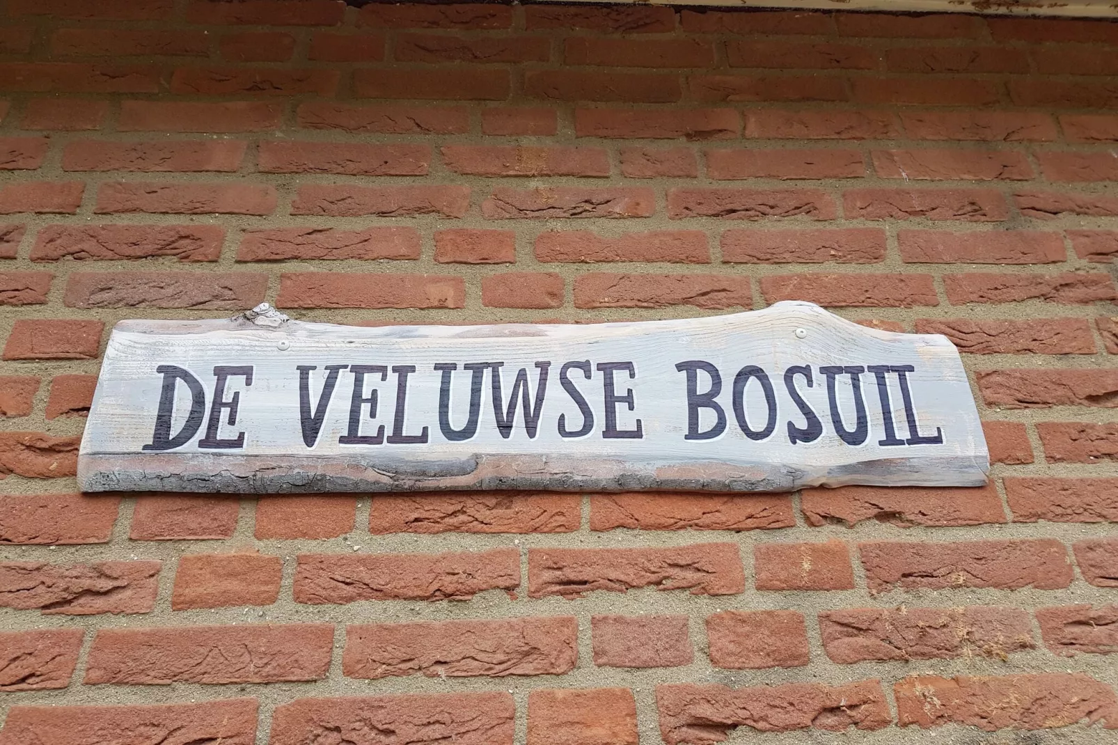 Veluwse Bosuil-Buitenkant zomer