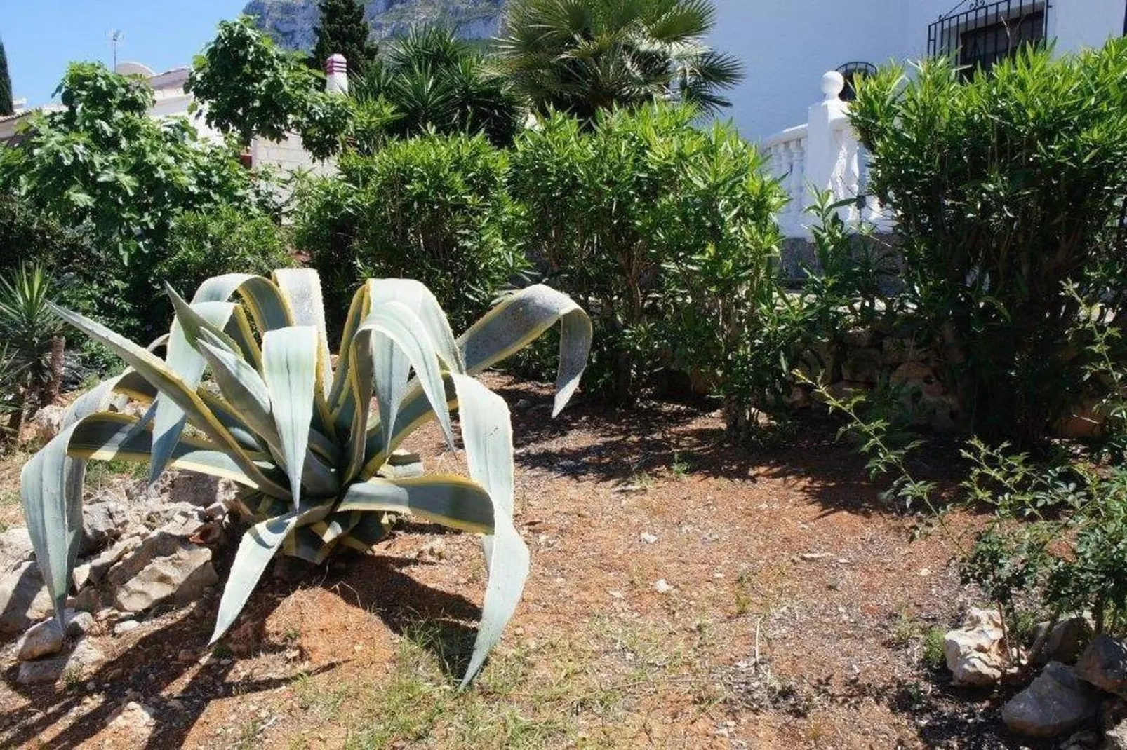 Villa Gaby-Tuinen zomer