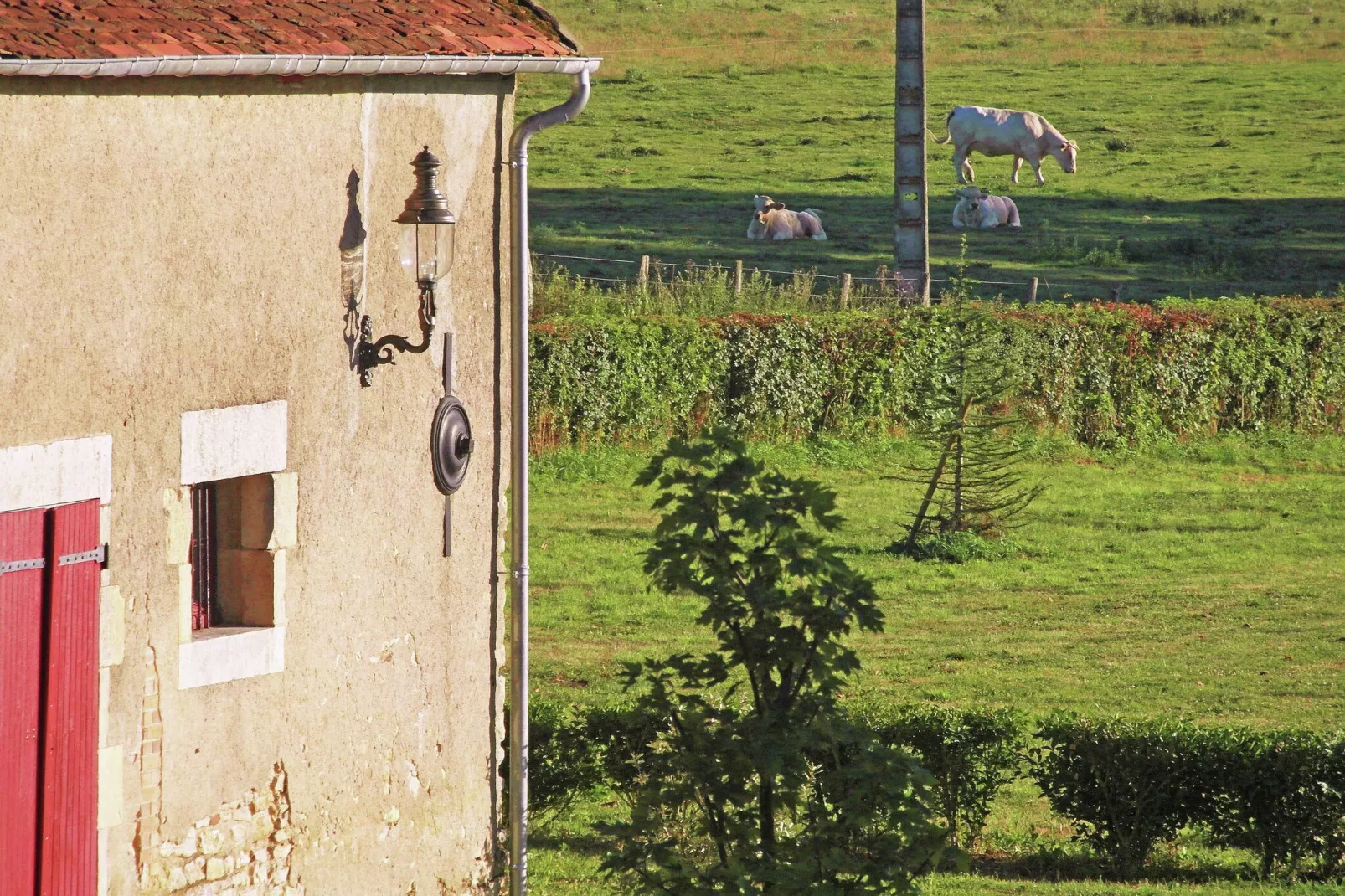 Un château en bordure de rivière-Uitzicht zomer