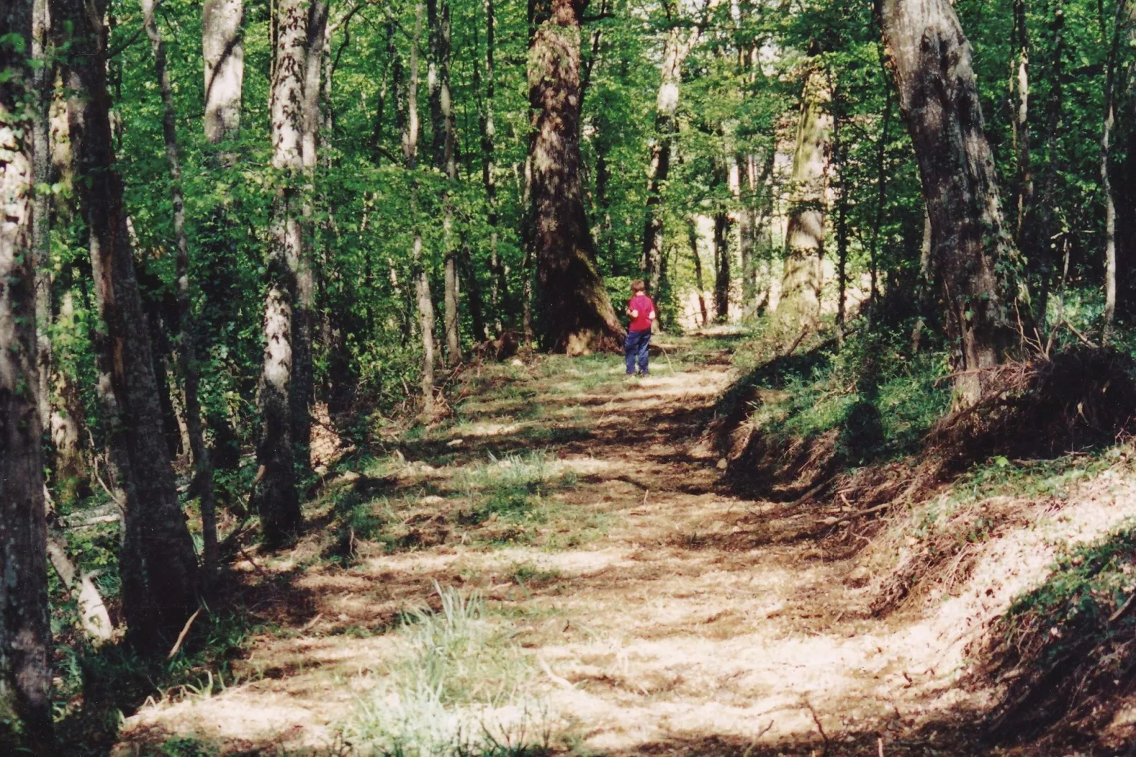 Un château en bordure de rivière-Gebieden zomer 1km