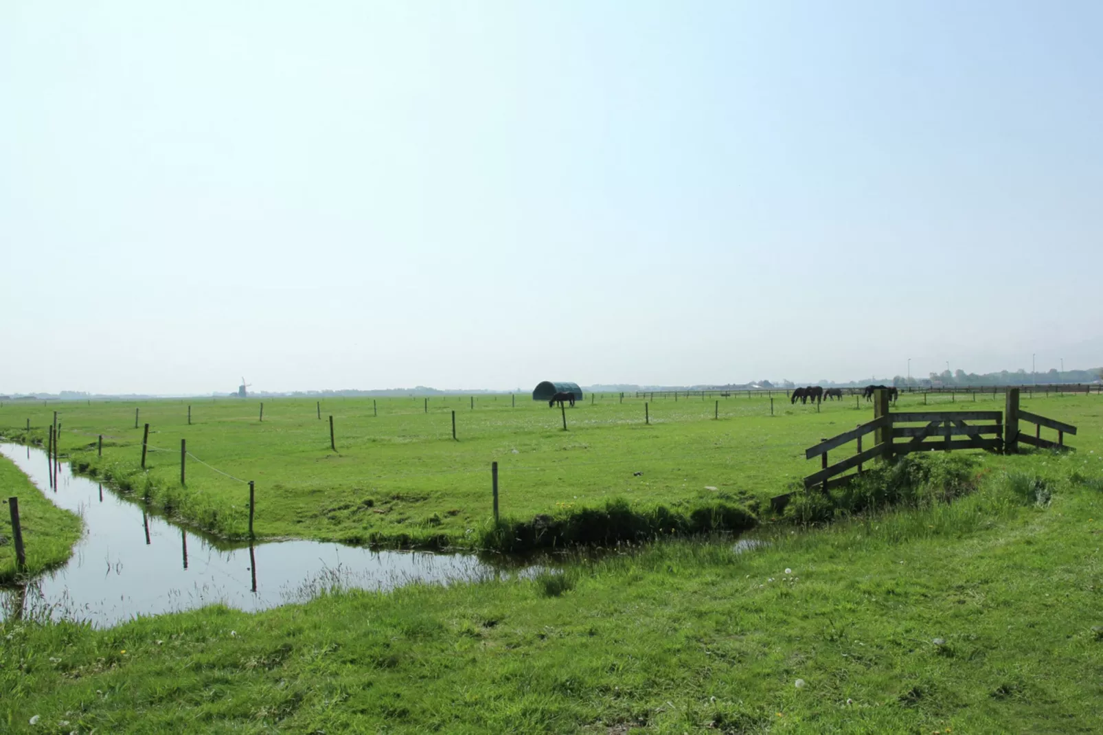 De Schone Leij-Uitzicht zomer